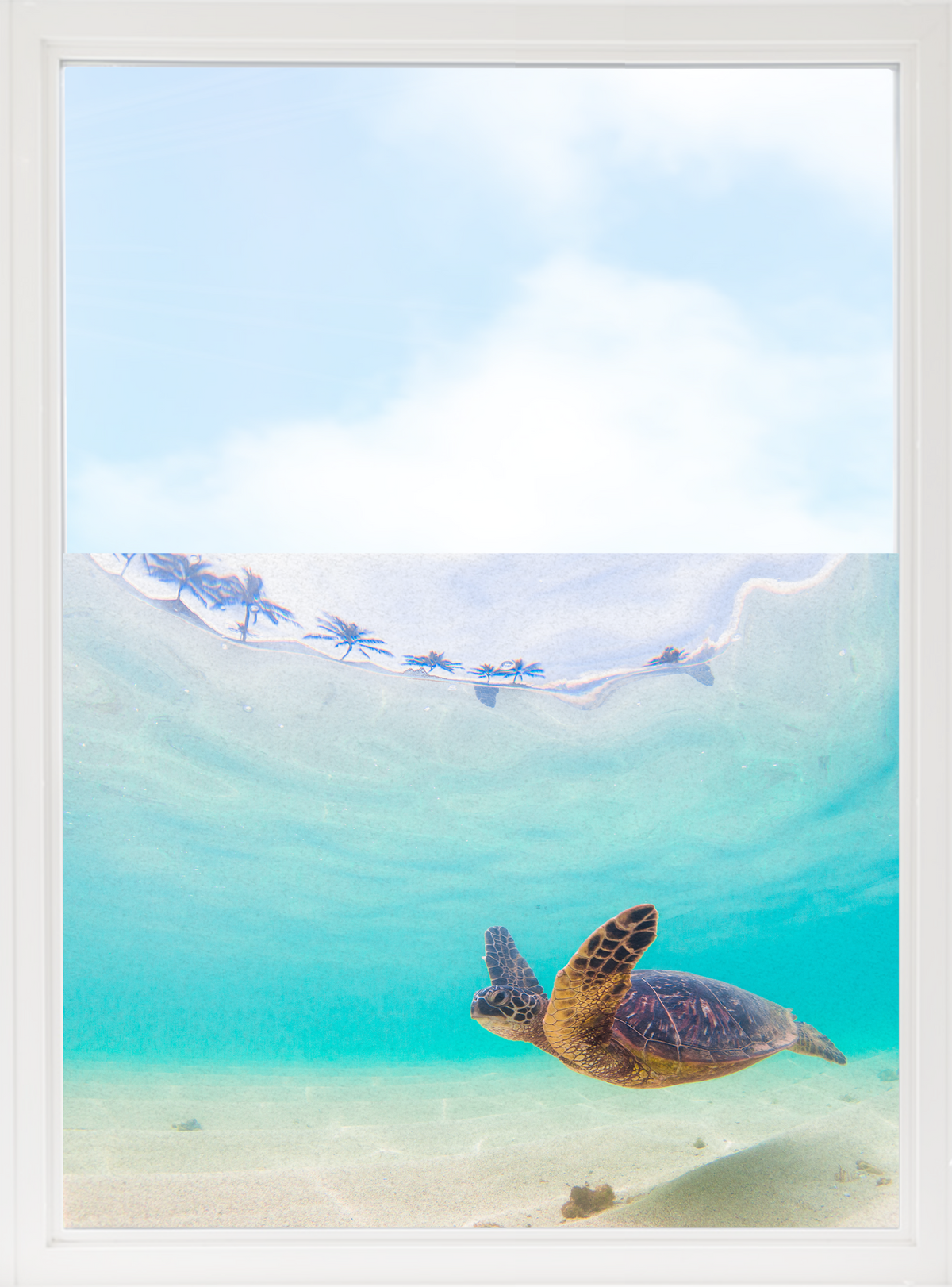 Schildkröte schwimmt im klaren, türkisfarbenen Wasser.