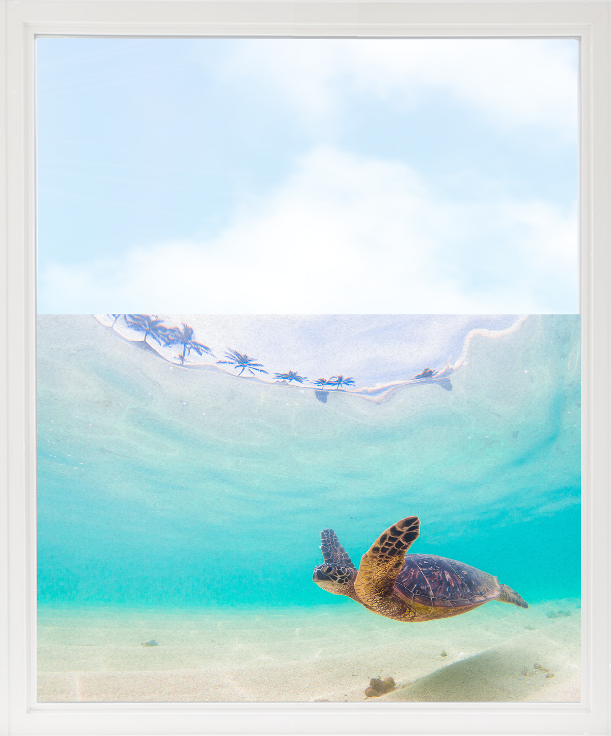 Schildkröte schwimmt im türkisfarbenen Wasser mit Himmel.