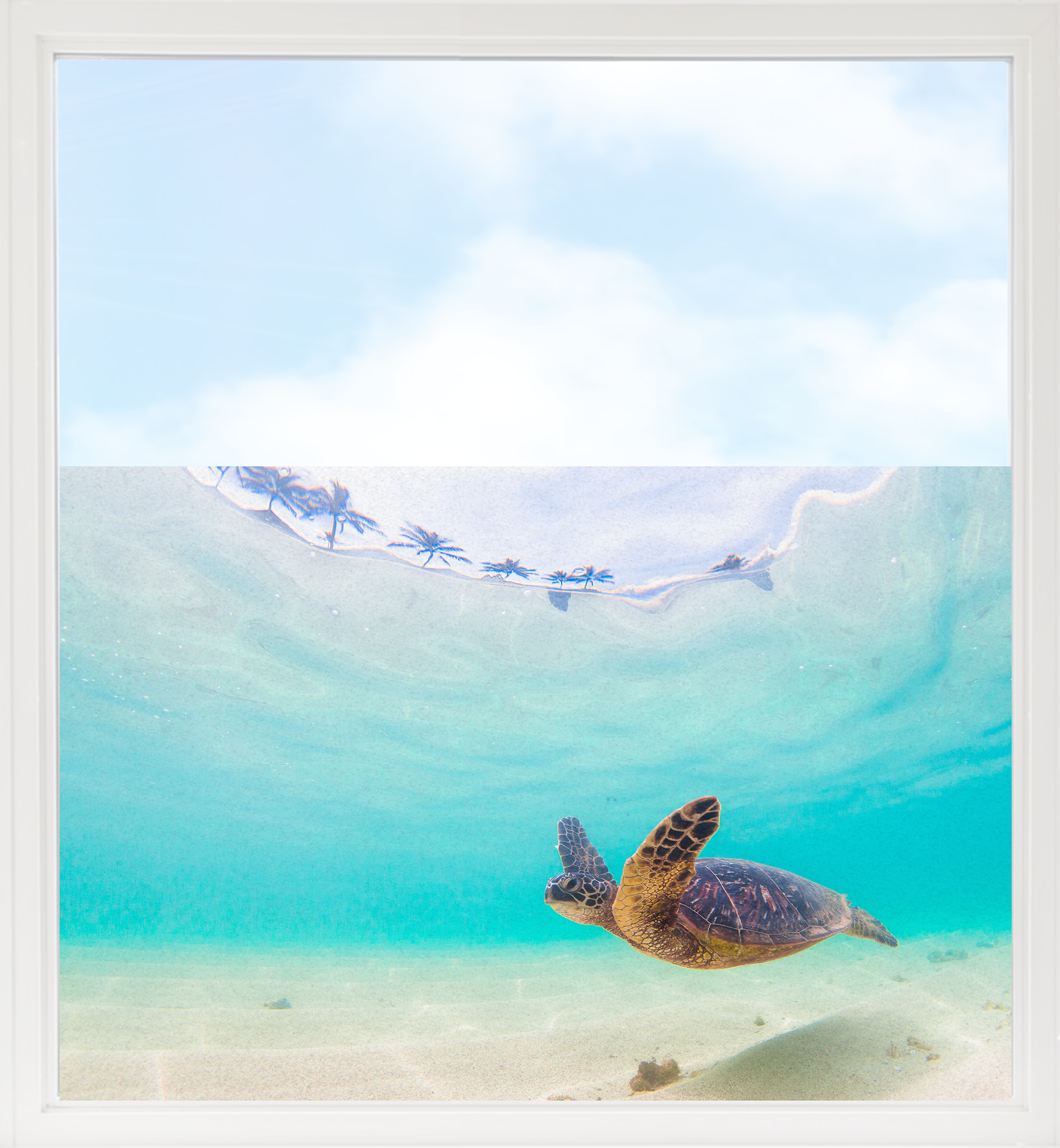 Schildkröte schwimmt im türkisfarbenen Wasser unter blauem Himmel.