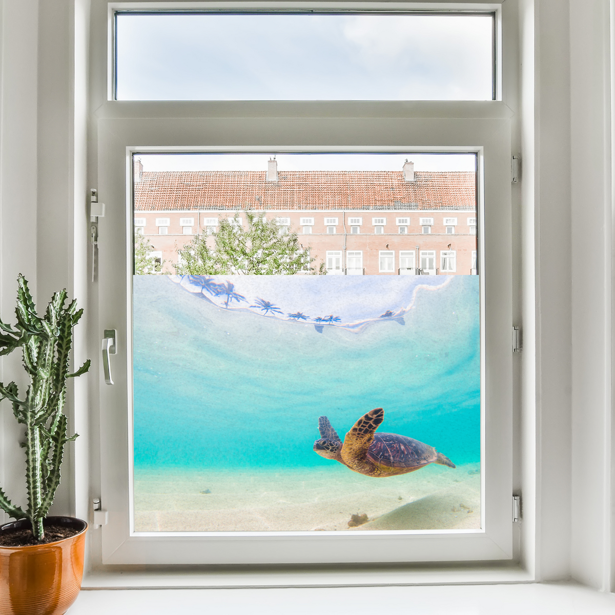 Schildkröte schwimmt im türkisfarbenen Wasser hinter Fenster.
