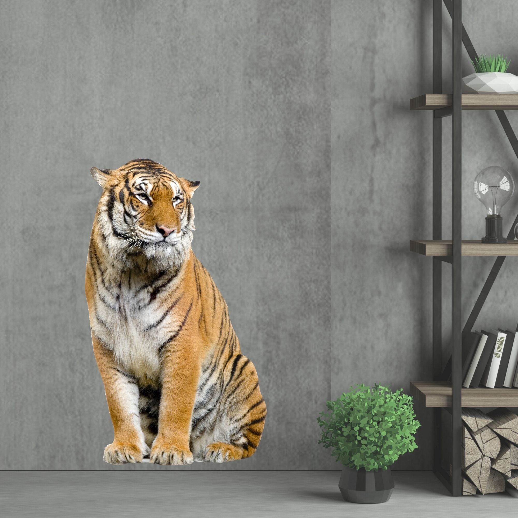 Sitzender Tiger in orange und schwarz vor grauer Wand.