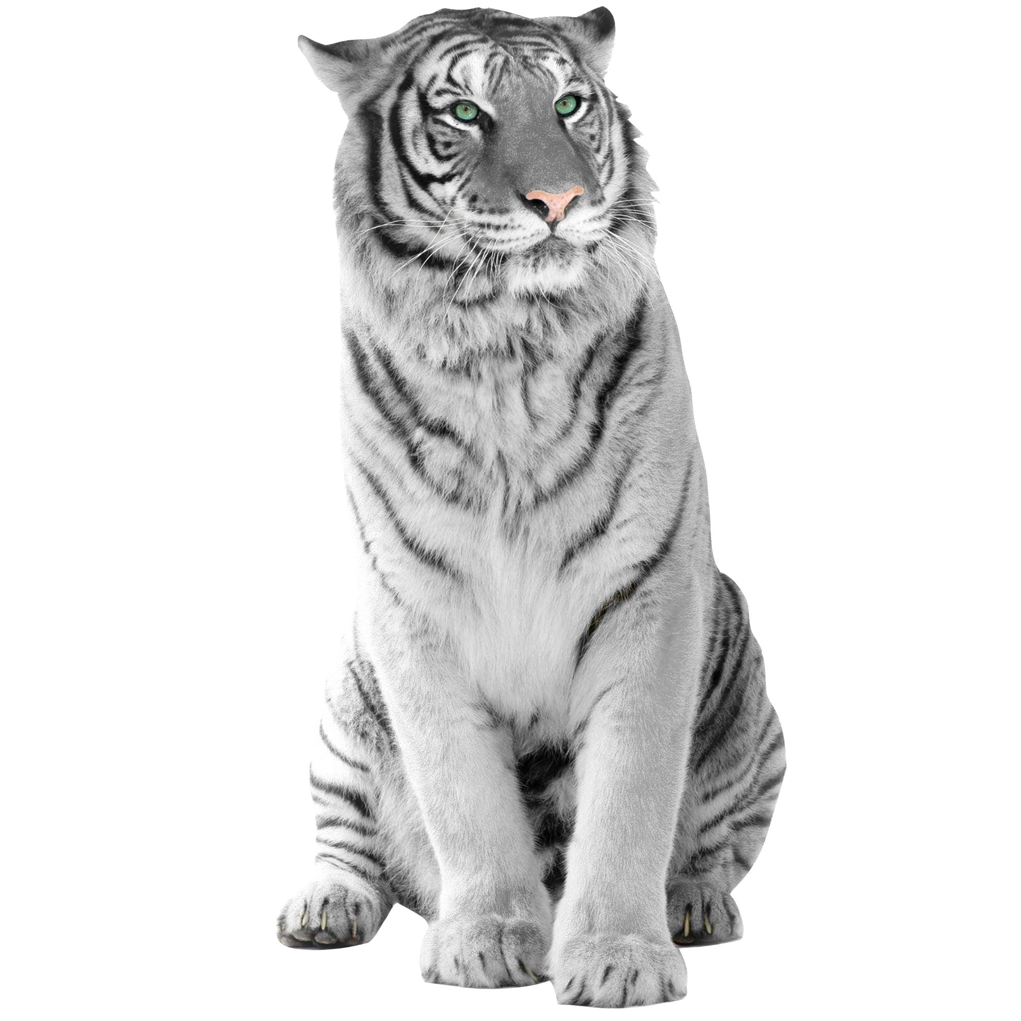 Weißer Tiger mit grünen Augen, majestätisch sitzend.