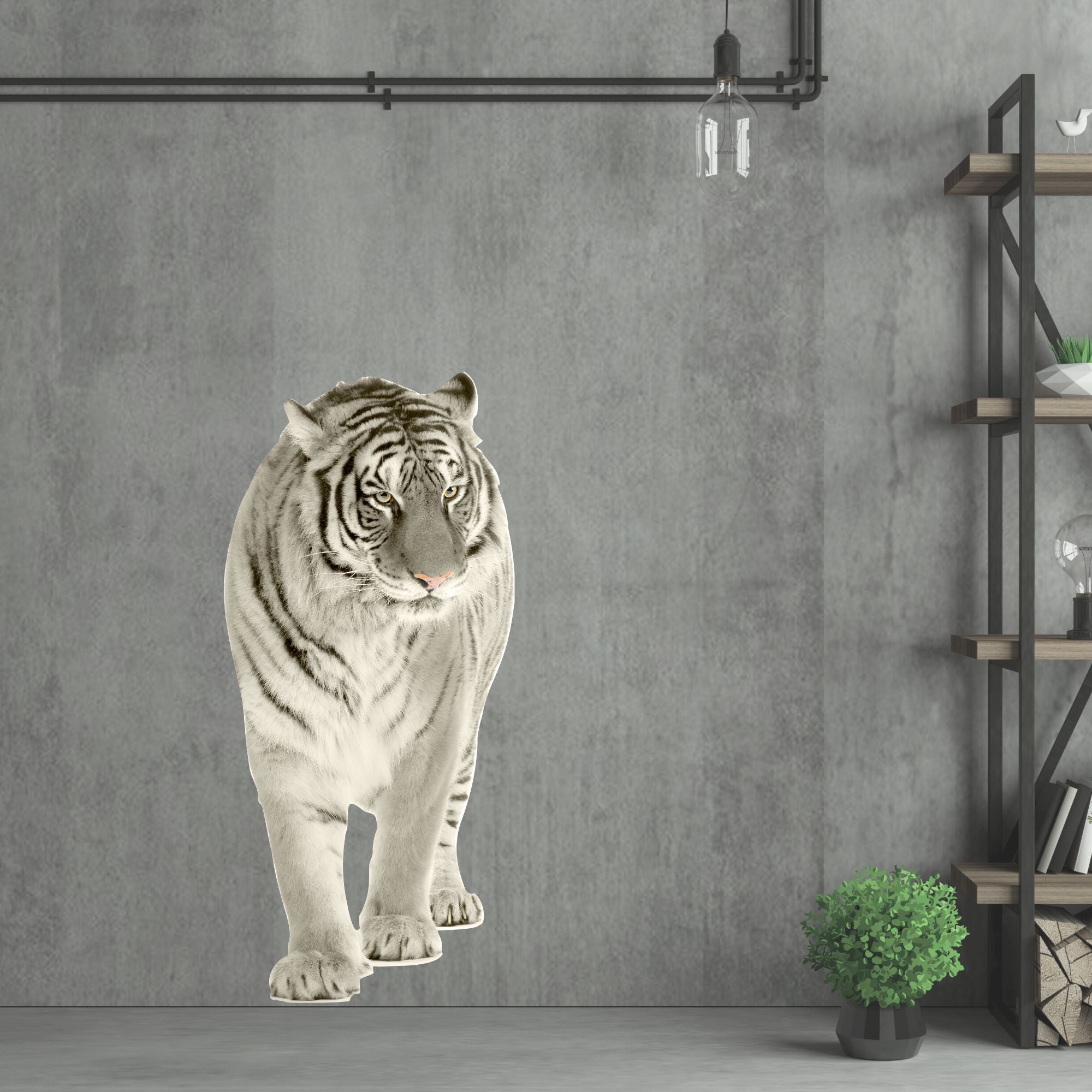Weißer Tiger auf grauer Wand, realistisch und eindrucksvoll.