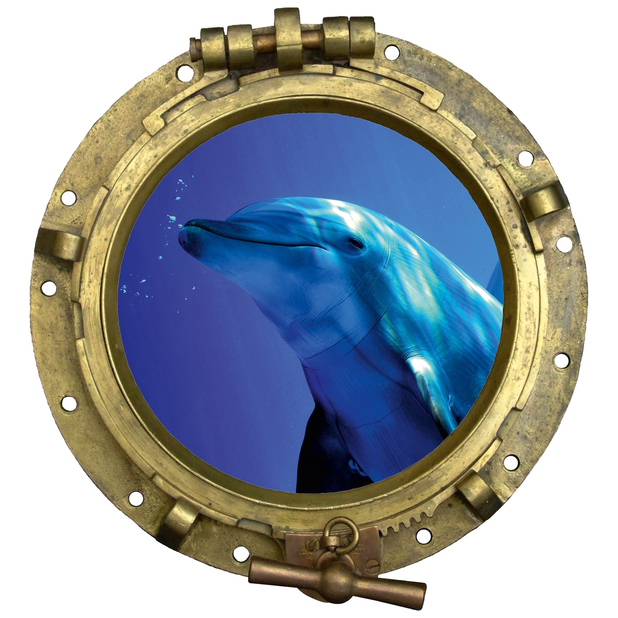 Delfin vor einem runden Bullauge, blaues Wasser.