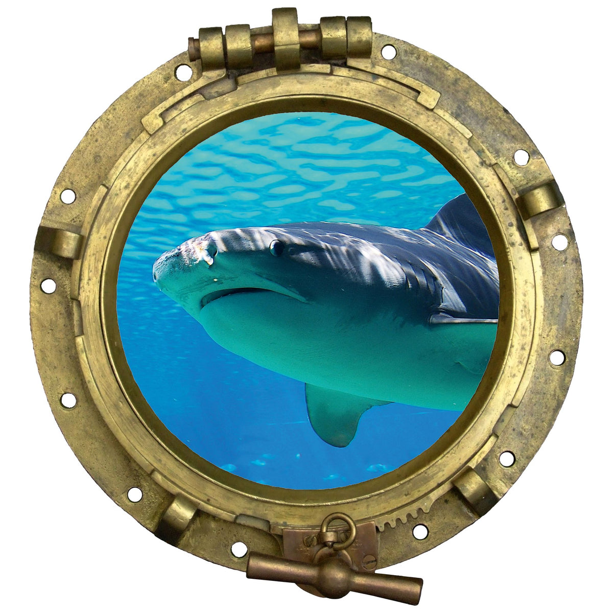 Hai hinter bullaugenförmigem Fenster, blaues Wasser, metallischer Rahmen.