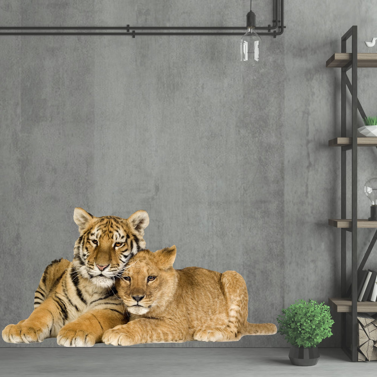 Tiger und Löwenjunges liegen entspannt auf grauem Hintergrund.