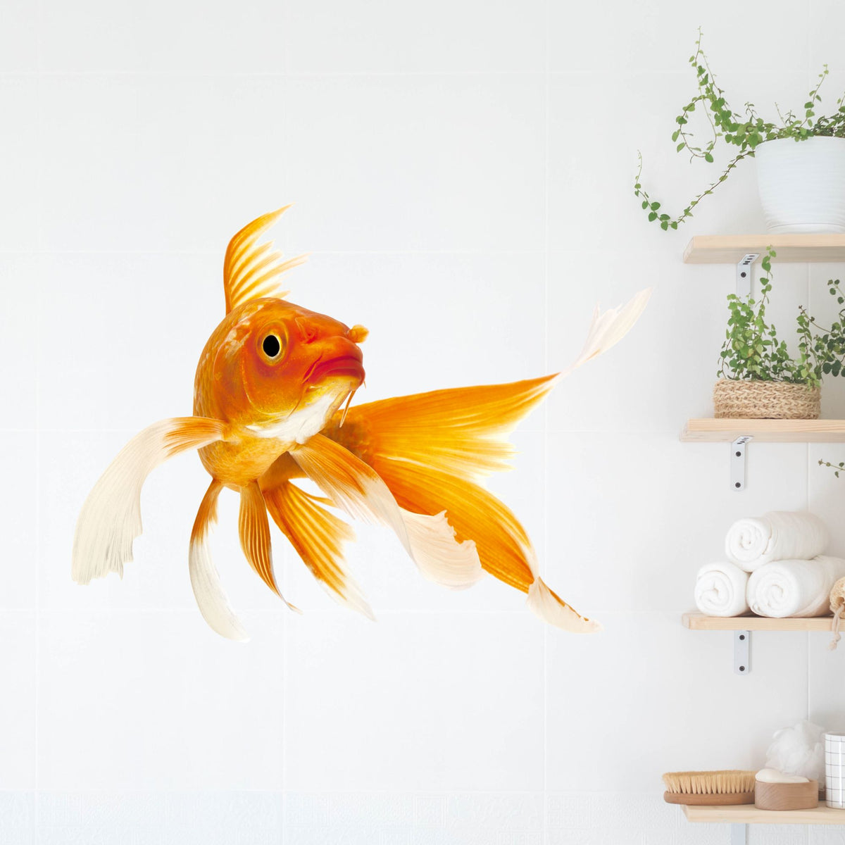 Goldfisch mit leuchtend orangefarbenen Schuppen und langen Flossen.