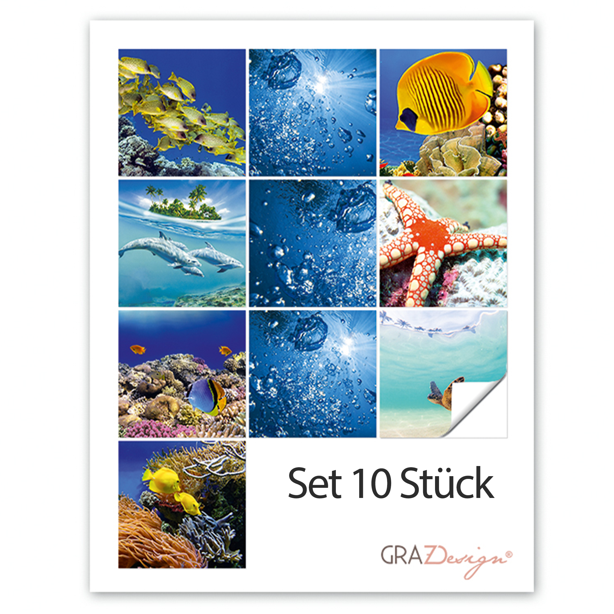 Set mit 10 Unterwasserbildern, bunt und vielfältig.