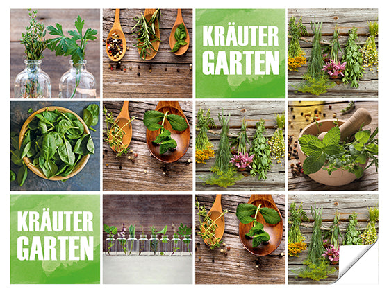 Kräutergarten mit frischen Kräutern, Holzoberfläche und grünen Akzenten.
