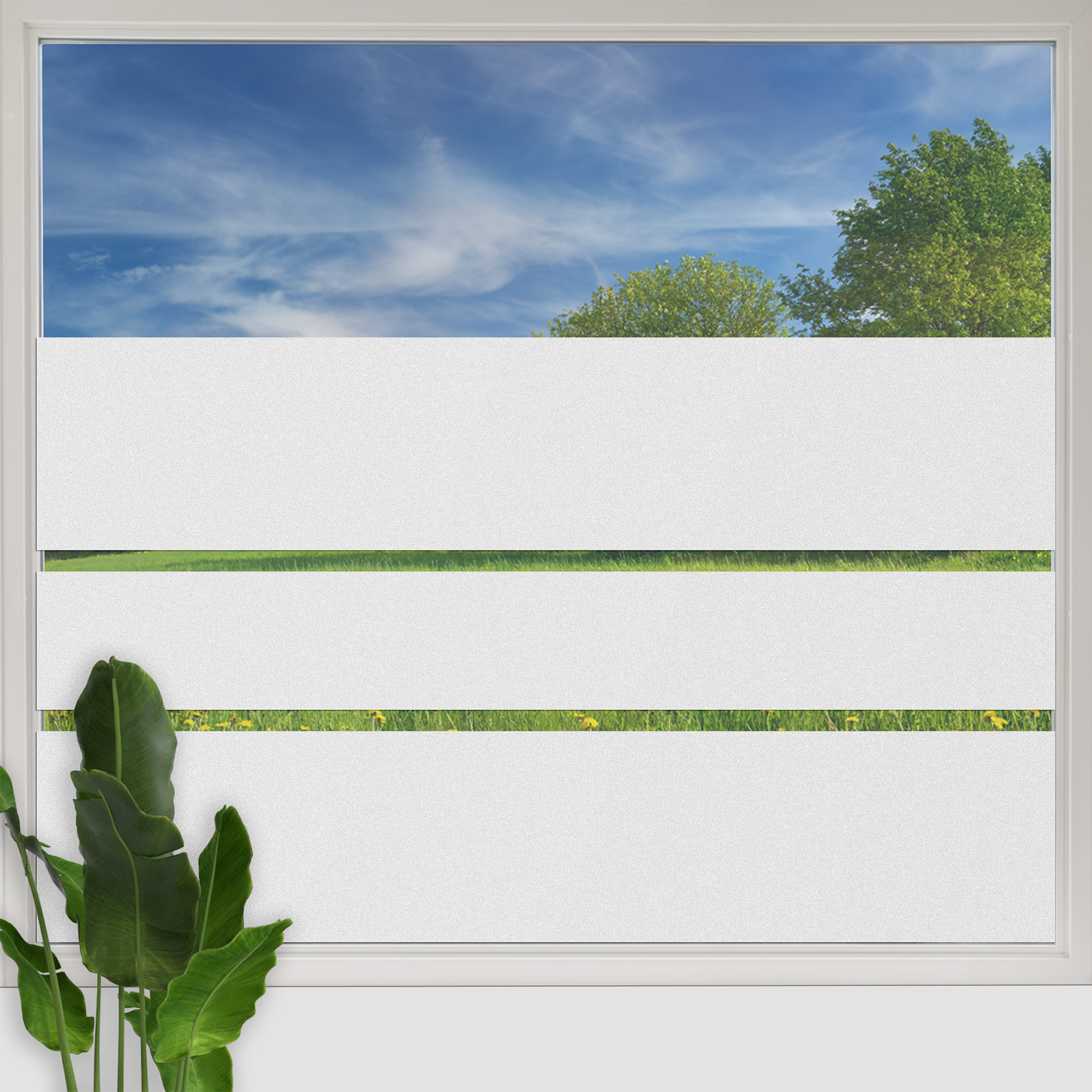Fensterfolie Streifen auf Fensterscheibe