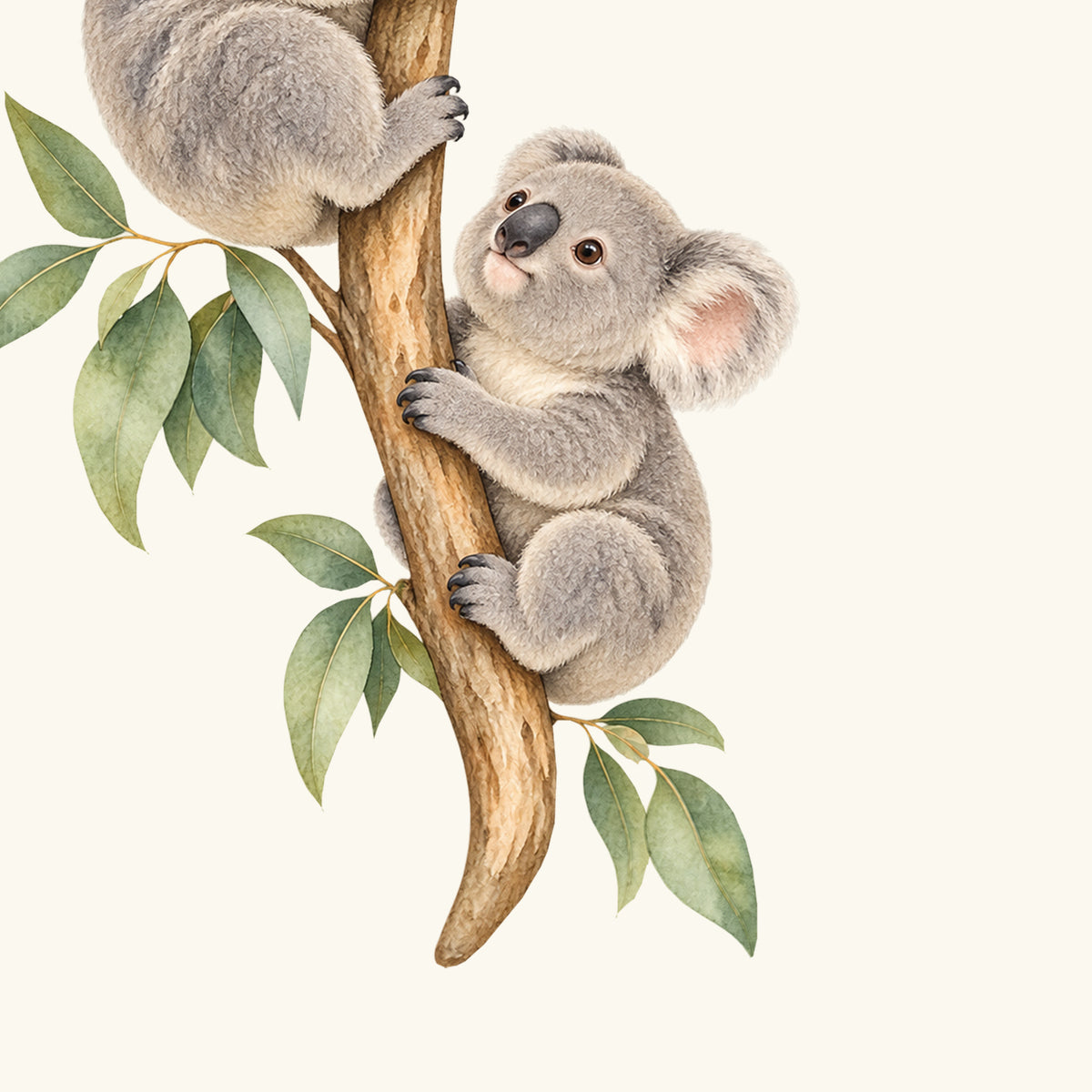 Konturdetail des Wandtattoos Kletterfreunde: Kleiner Koala am unteren Ast mit salbeigrünen Eukalyptusblättern.