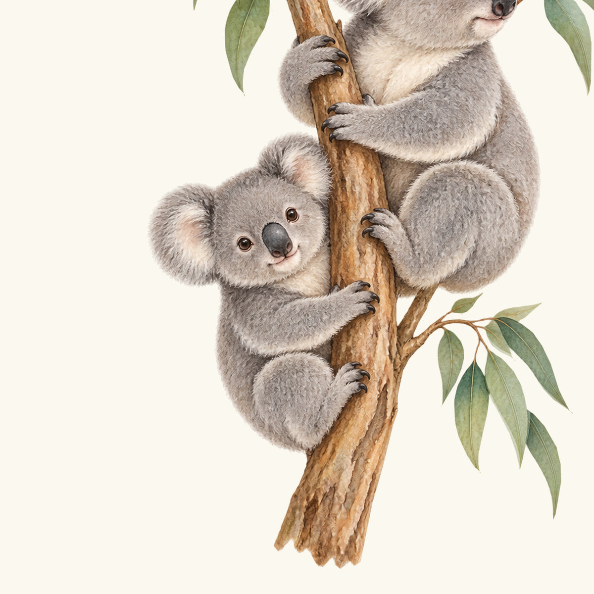 Konturdetail des Wandtattoos Kleine Entdecker: Kleiner Koala mit runden Ohren am unteren Eukalyptusast, daneben grüne Blätter.