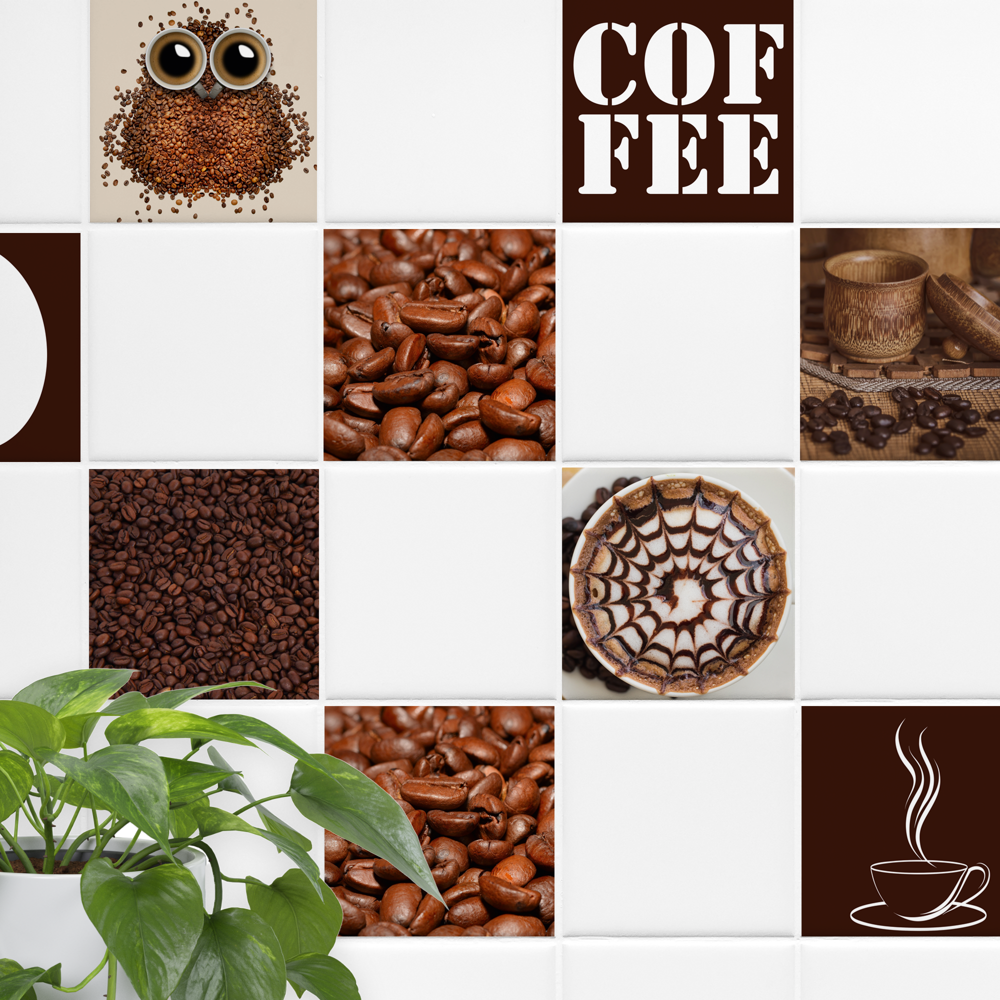 Kaffeebohnen, braune Fliesen, Pflanzen im Vordergrund.