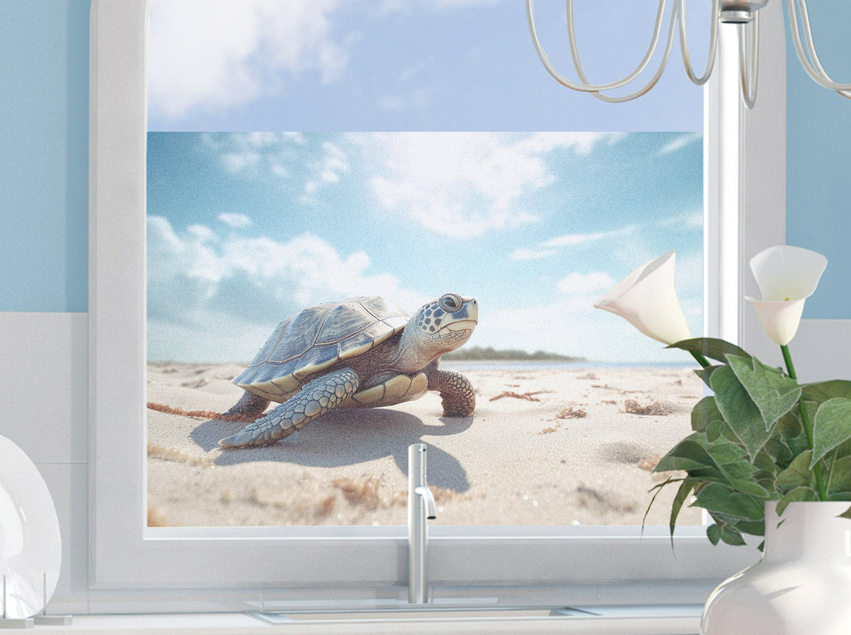 Schildkröte am Strand, hellblauer Himmel, Fensteransicht.