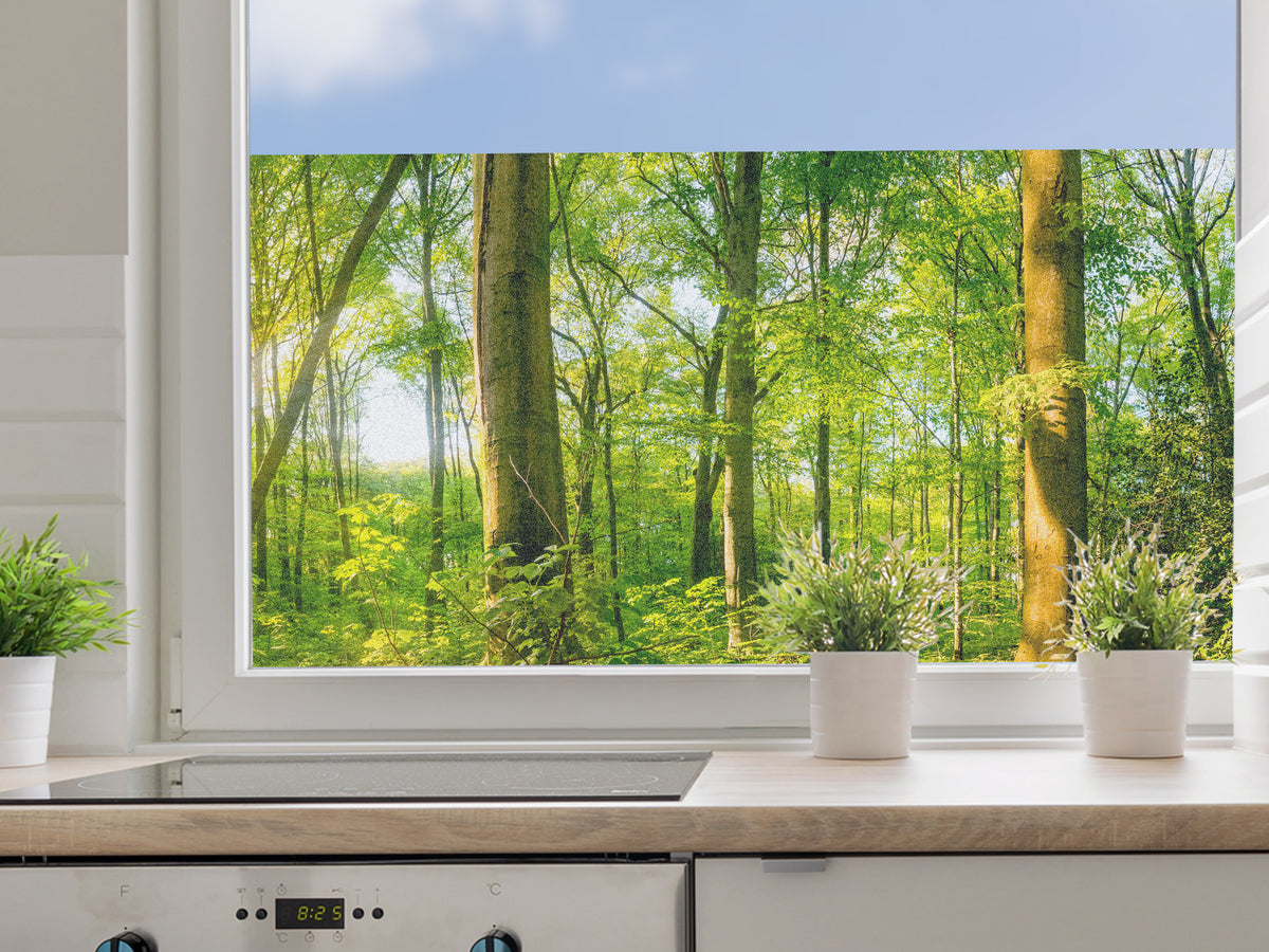 Küchenfenster mit grünem Waldblick und Pflanzen.