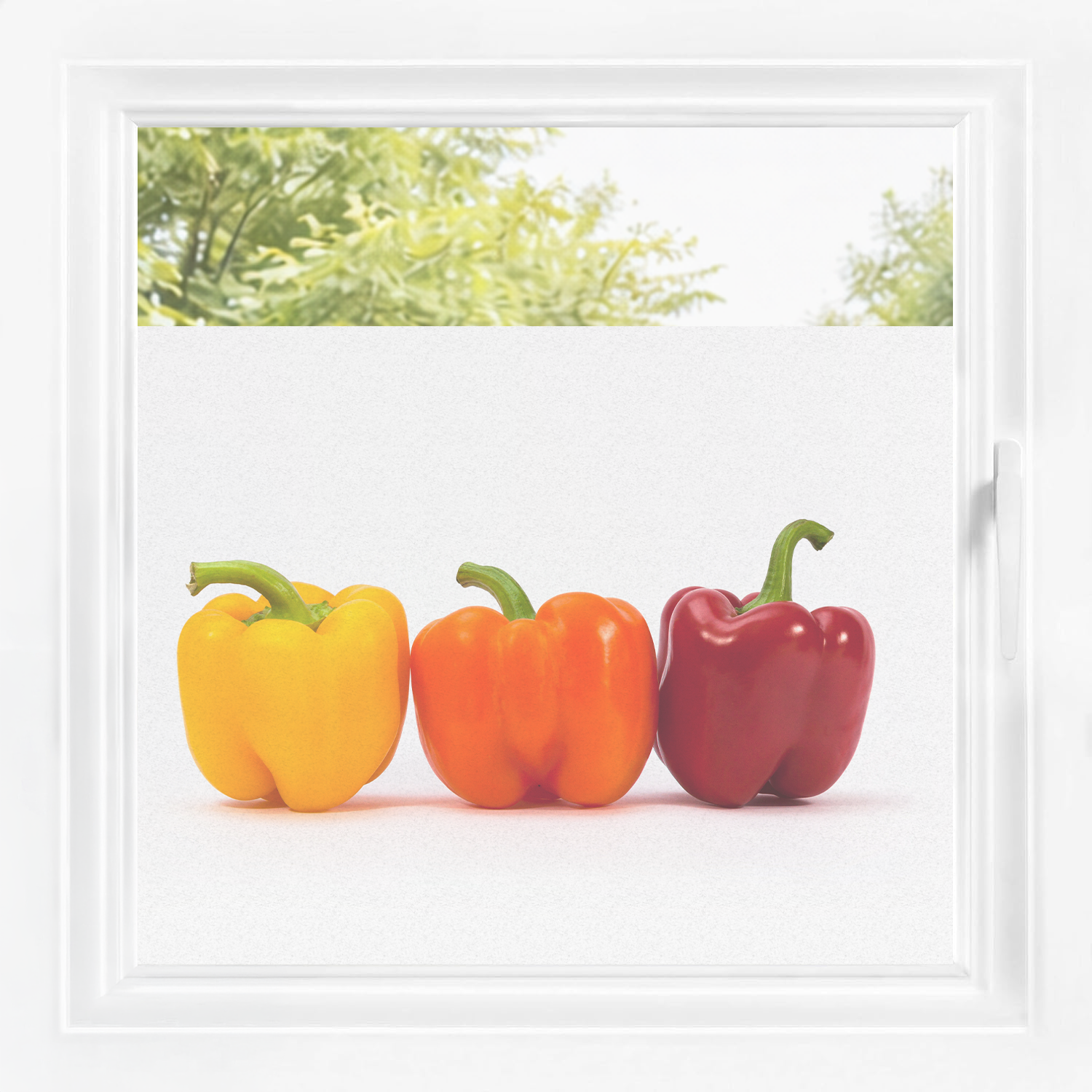 Gelbe, orange und rote Paprika vor einem Fenster.