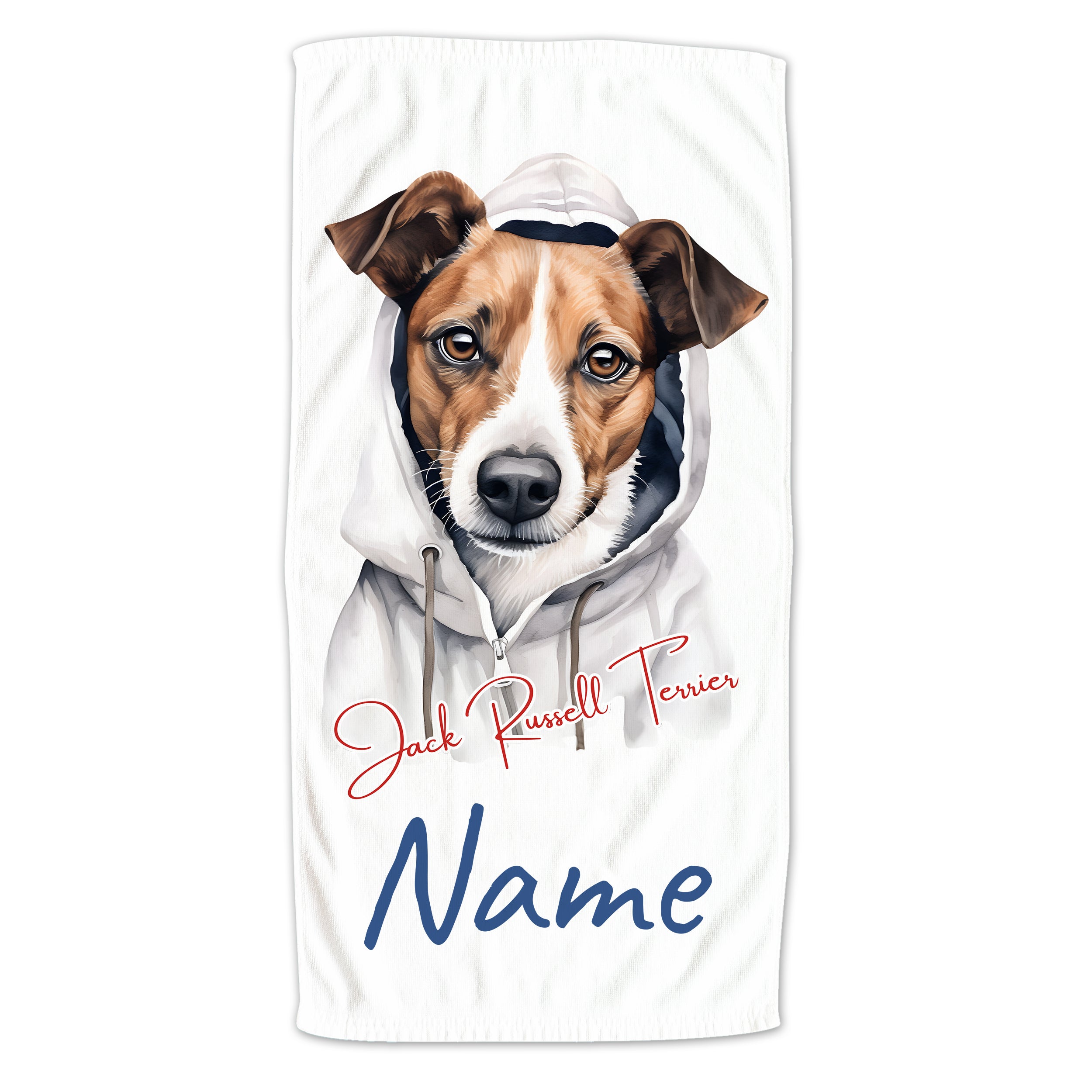 Jack Russell Terrier mit Kapuzenpullover, weißer Hintergrund.