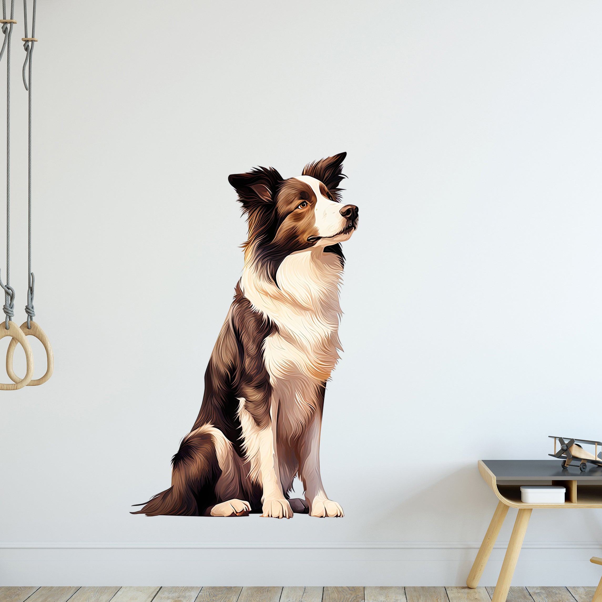 Sitzender Border Collie in Braun- und Weißtönen.