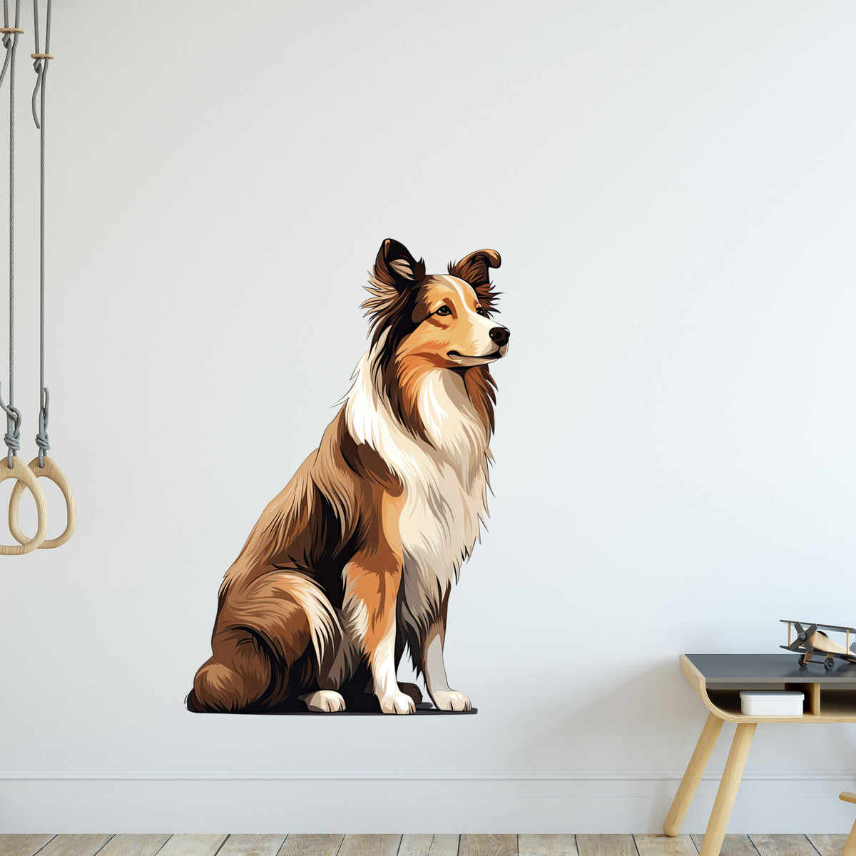 Shetland Sheepdog in Braun- und Weißtönen, sitzend.