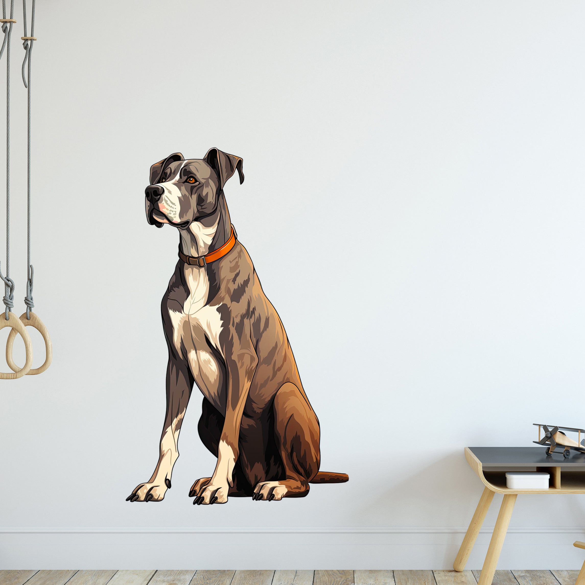 Sitzender Hund in braun-weißer Farbe mit orangefarbenem Halsband.