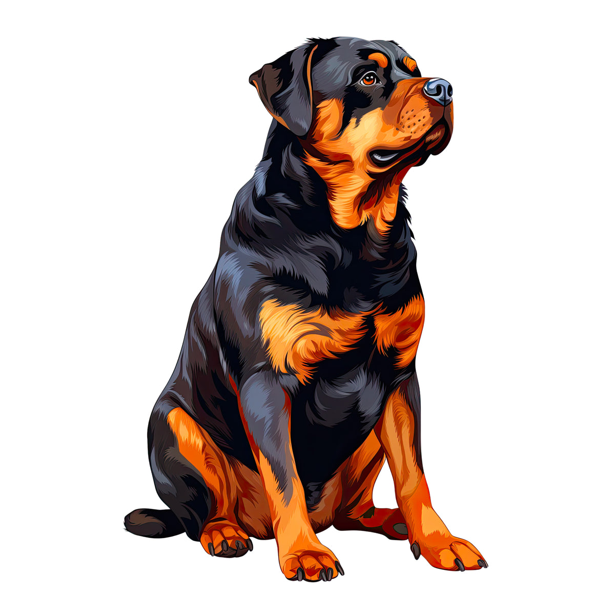 Rottweiler mit schwarzem und braunem Fell, sitzend.
