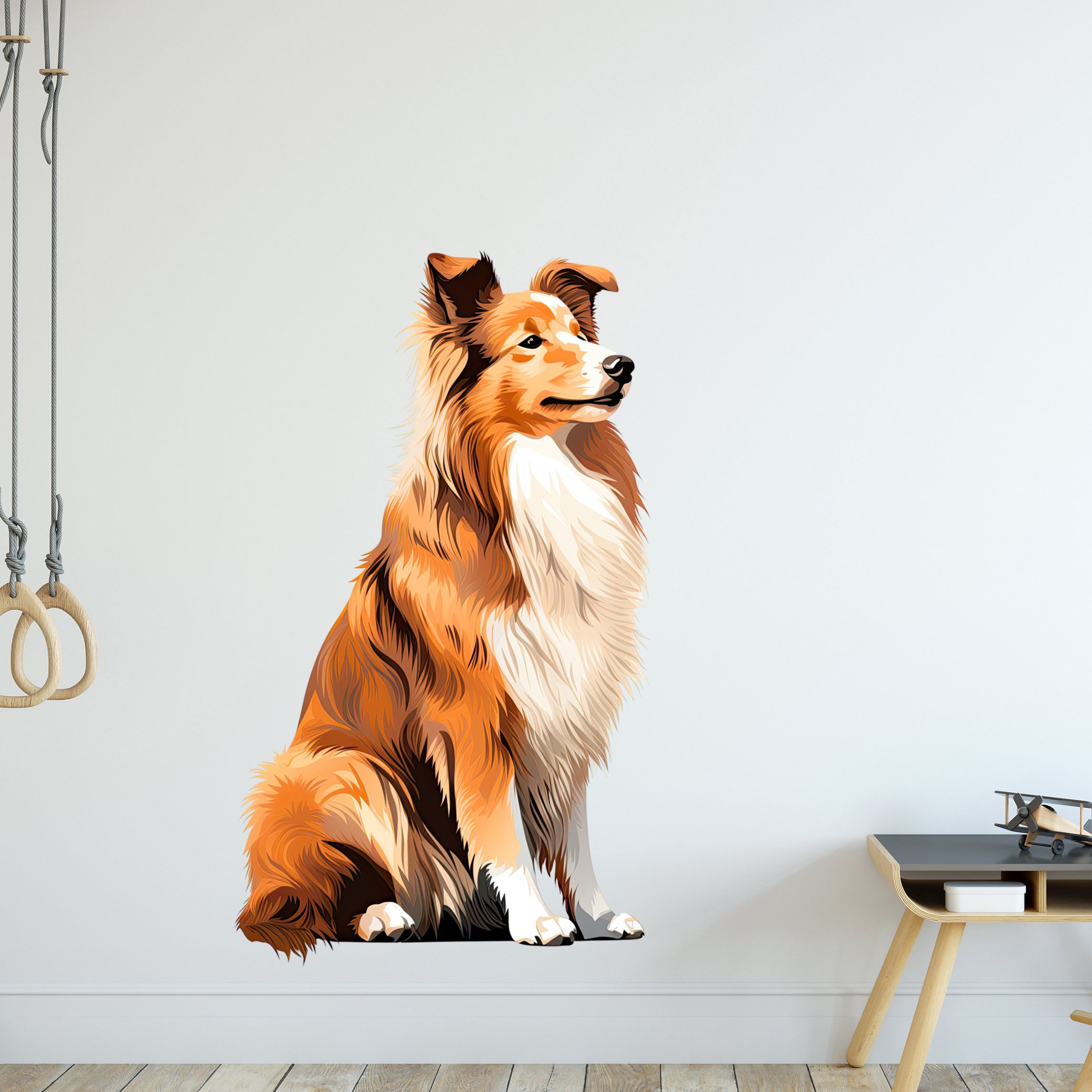 Sitzender, orange-brauner Collie mit flauschigem Fell.
