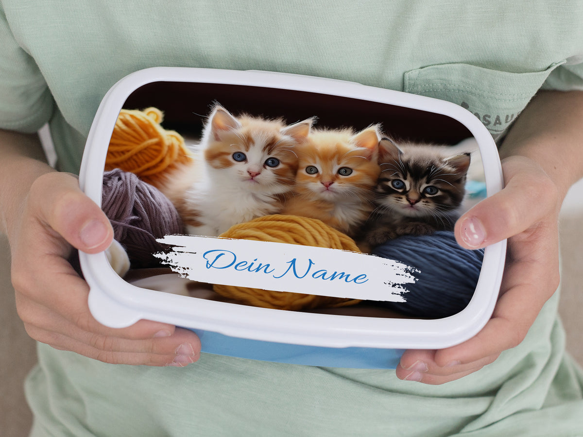 Brotdose mit Katzen