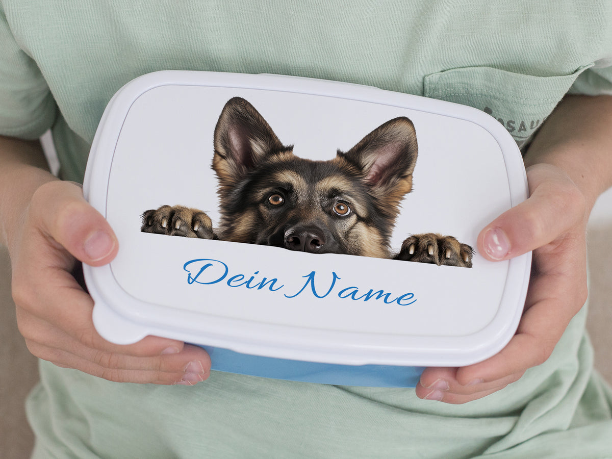 Hund auf einer personalisierten Aufbewahrungsbox, weiß mit blauem Boden.