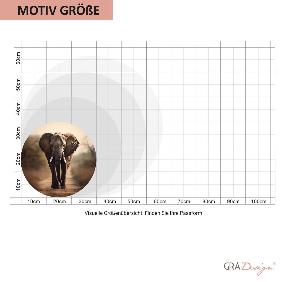 Elefant auf beige Hintergrund, Größenübersicht für Wandbilder.