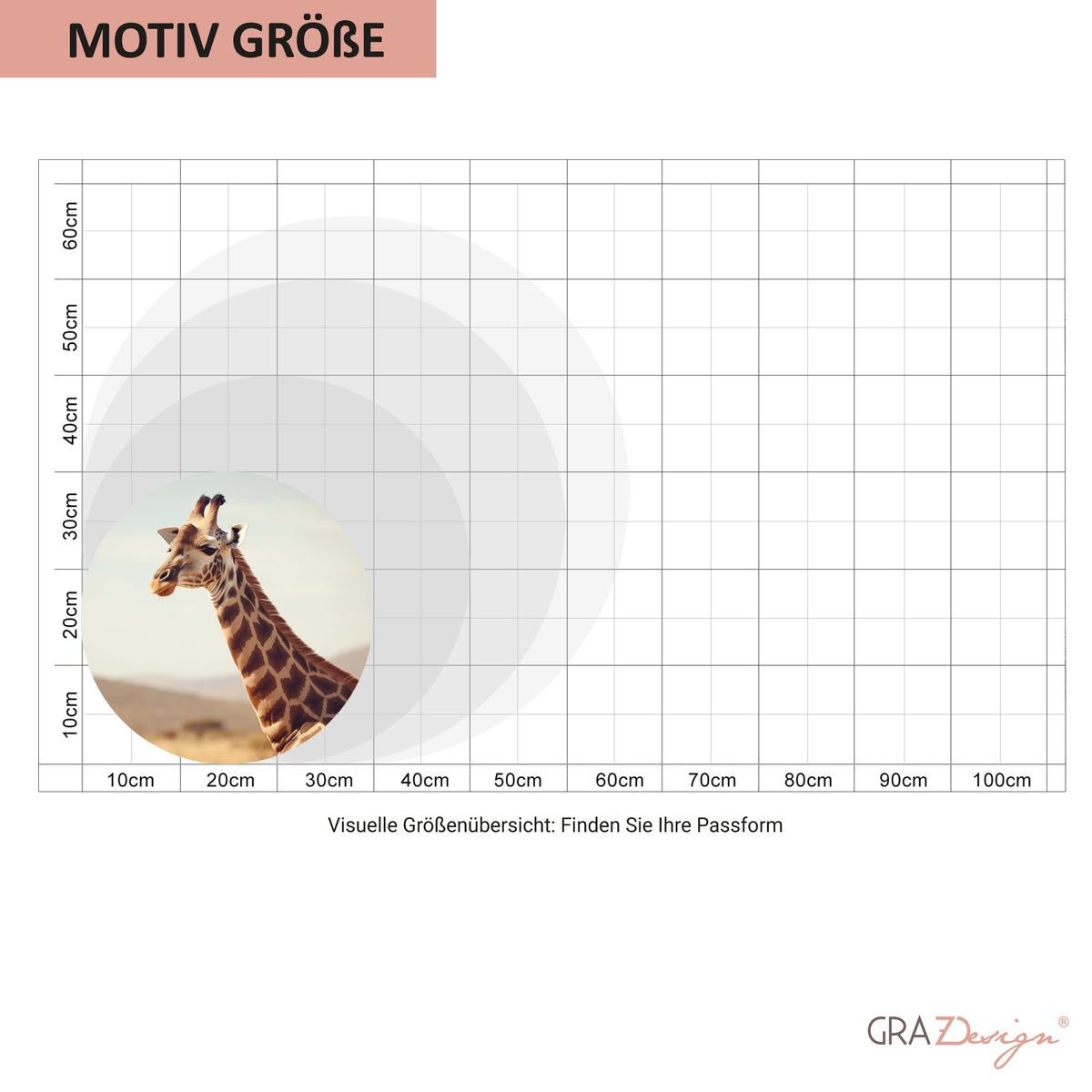 Giraffe in natürlichen Farben, Maßstab zur Größenbestimmung.