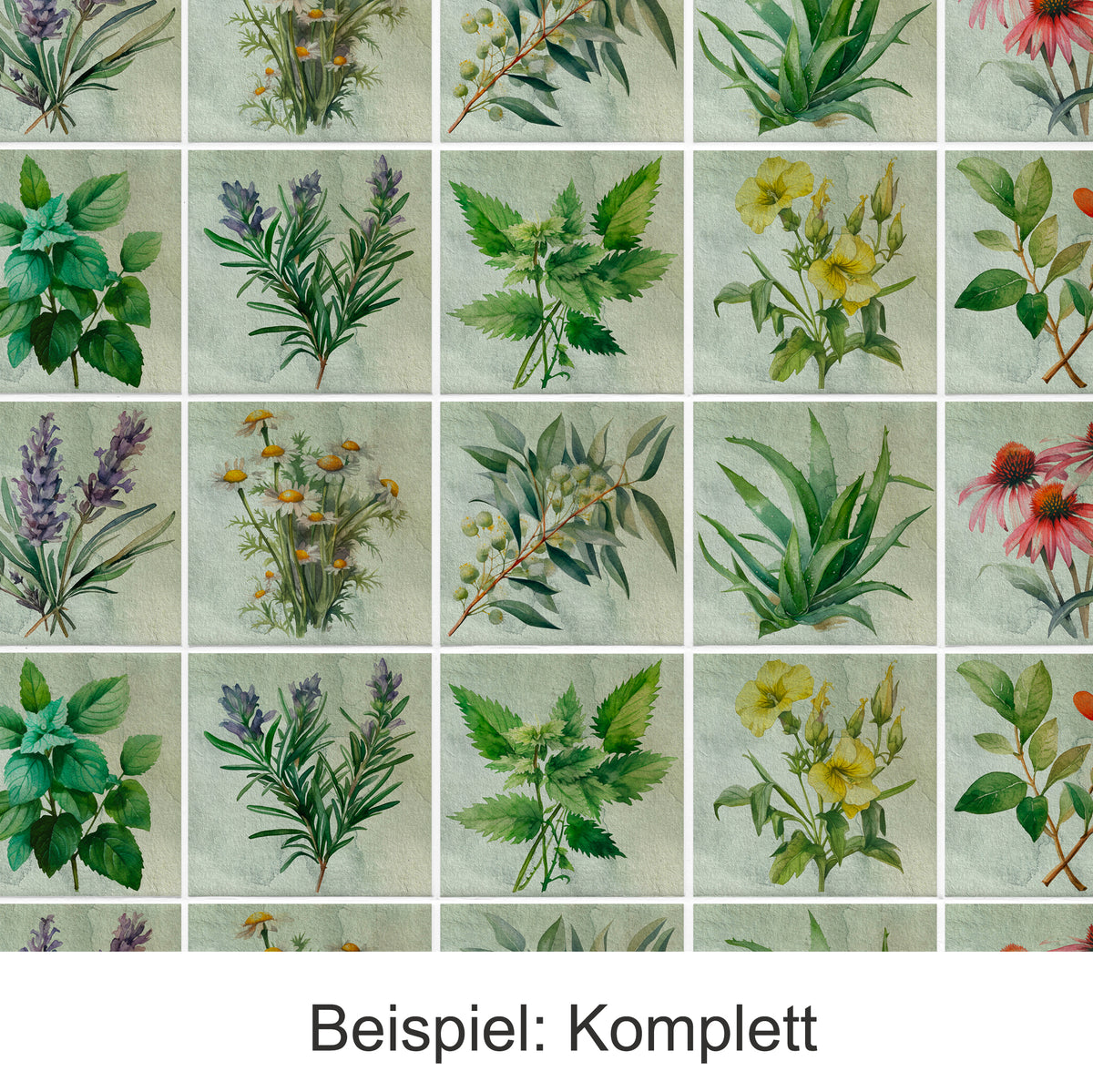 Bunte Kräuterillustrationen auf sanftem, grünlichem Hintergrund.