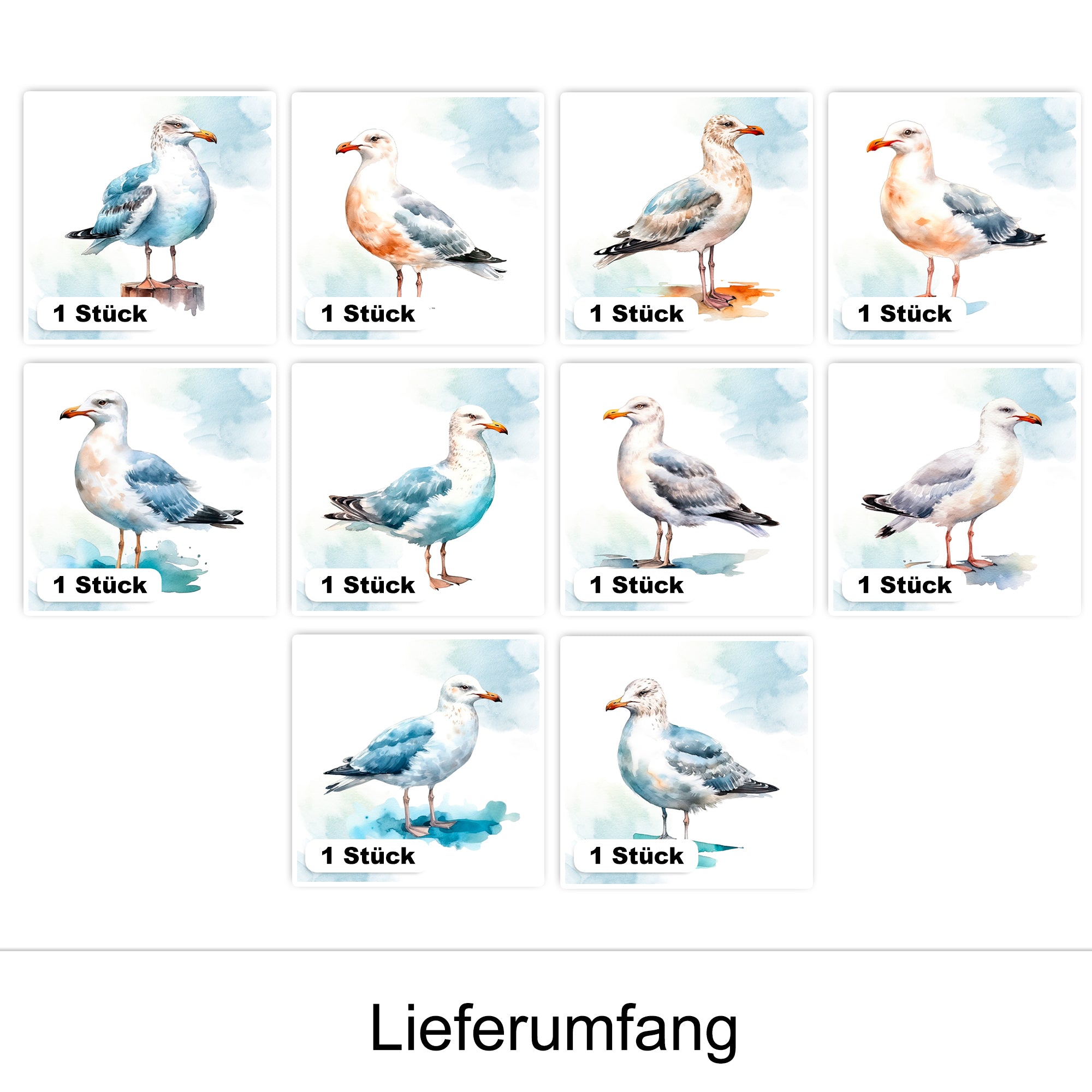 Zehn Aquarellbilder von Möwen in verschiedenen Farben.