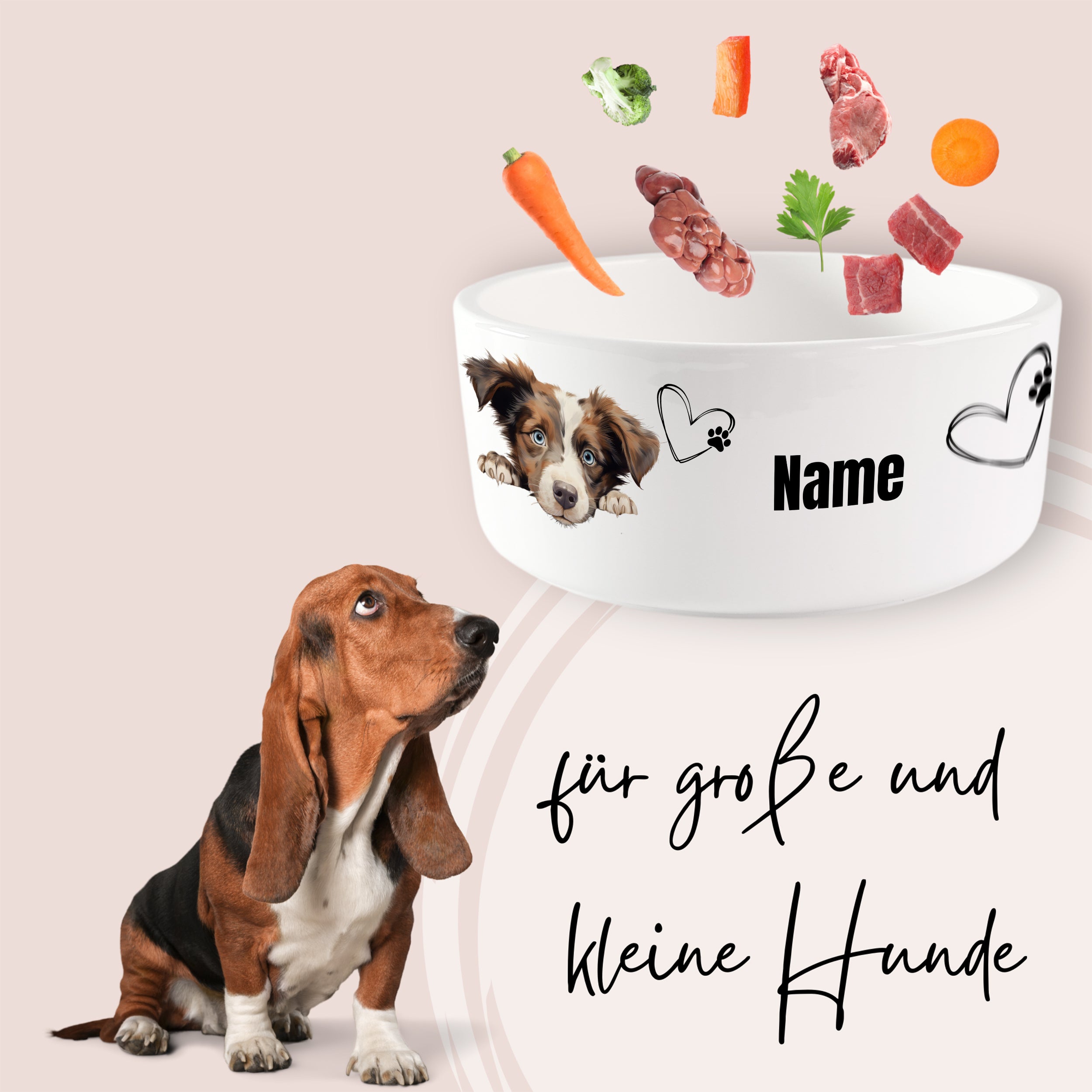 Hunde-Napf mit personalisierbarem Namen, buntes Futter.