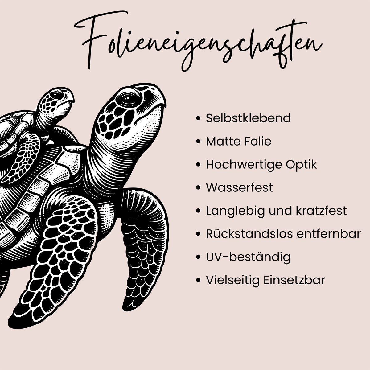 Wandtattoo Schildkröte
