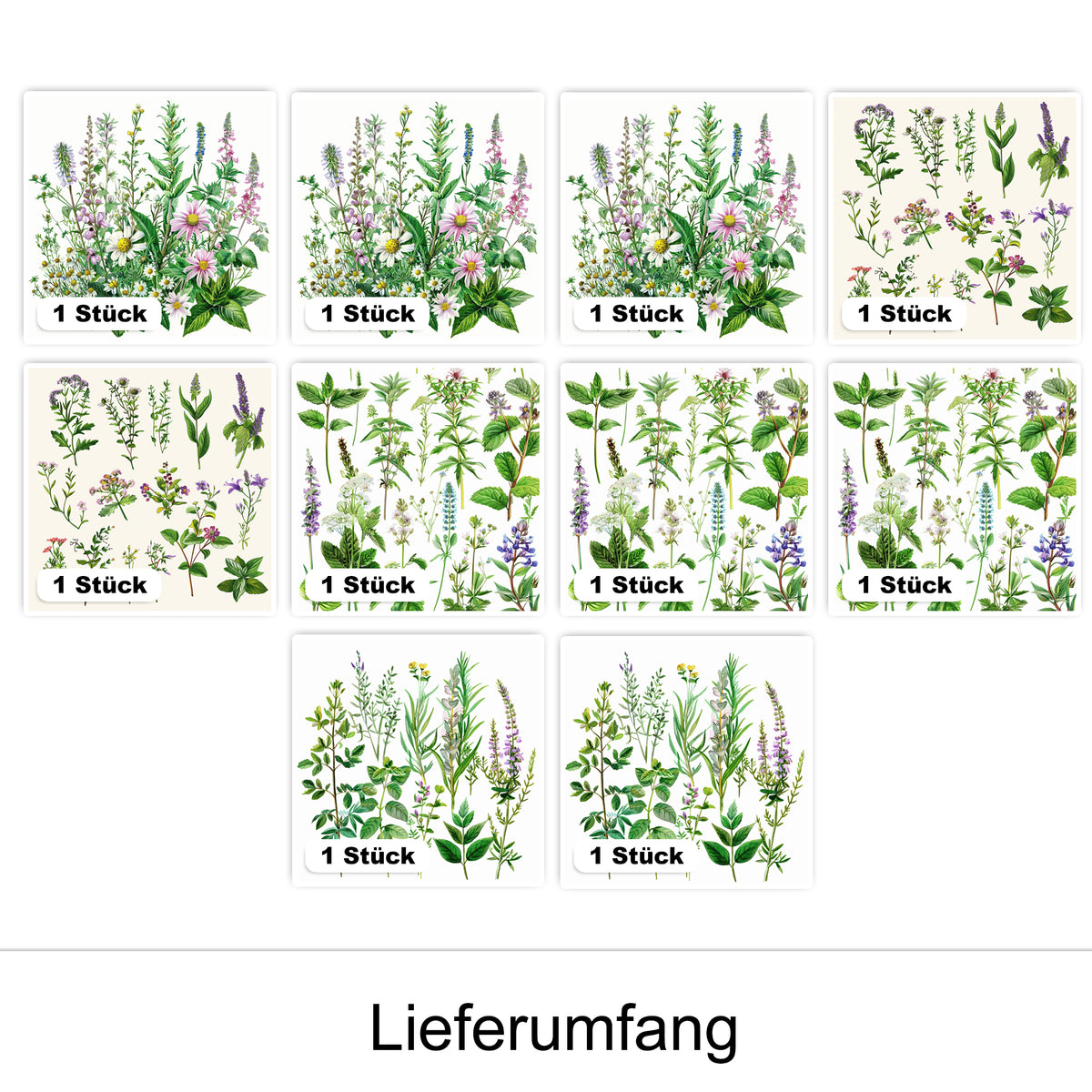 Pflanzenillustrationen in verschiedenen Farben, 10 Stück.