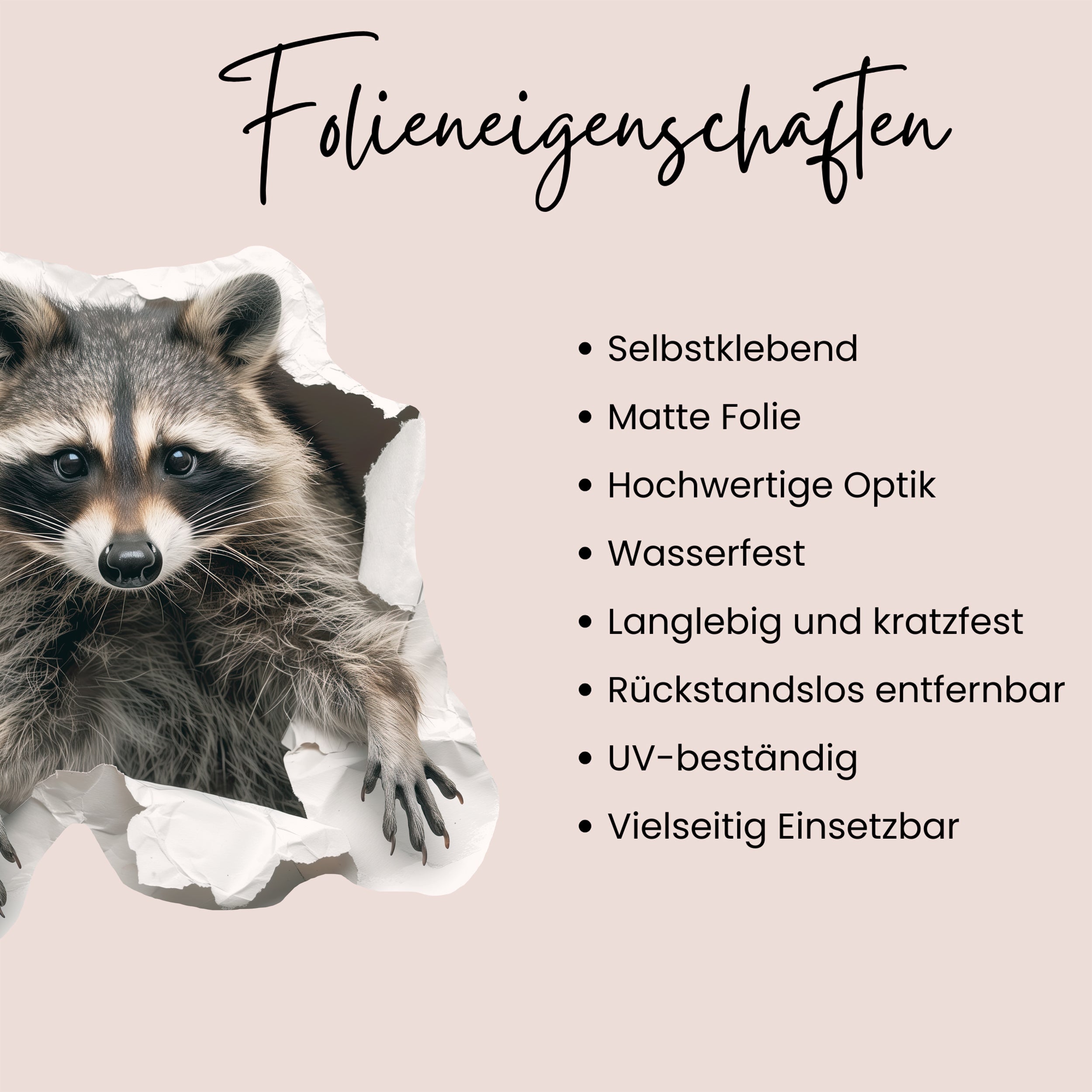 Wandtattoo Waschbär