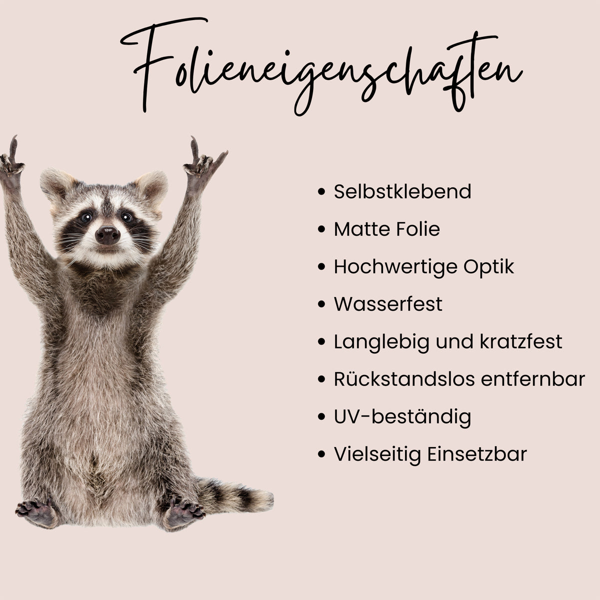 Wandtattoo Waschbär
