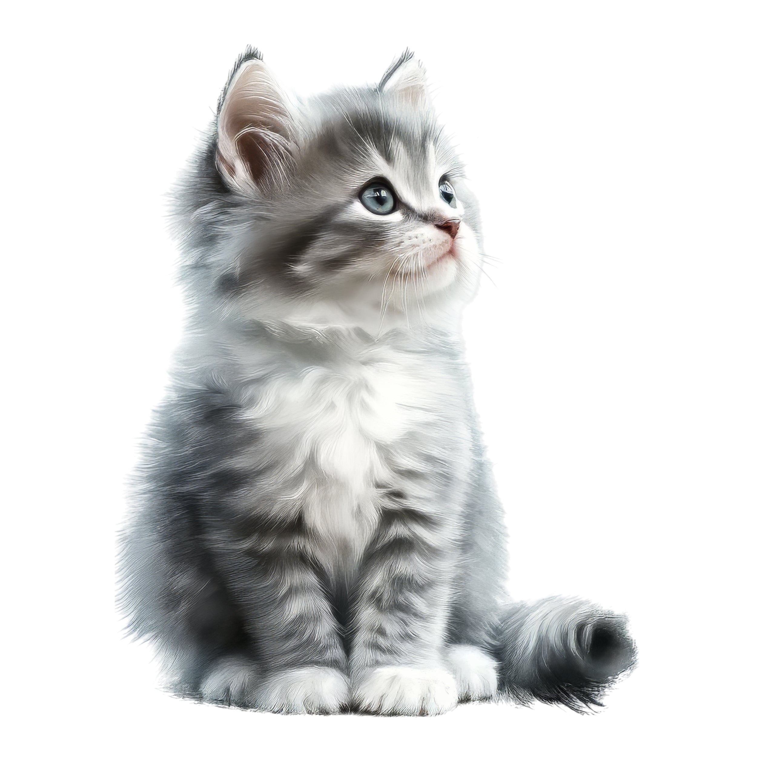 Wandtattoo Katze