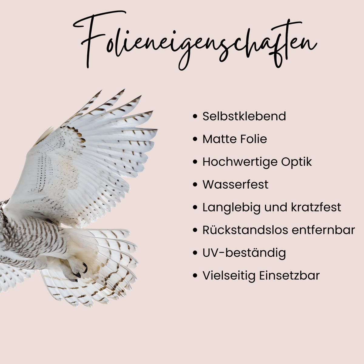 Wandtattoo Schneeeule
