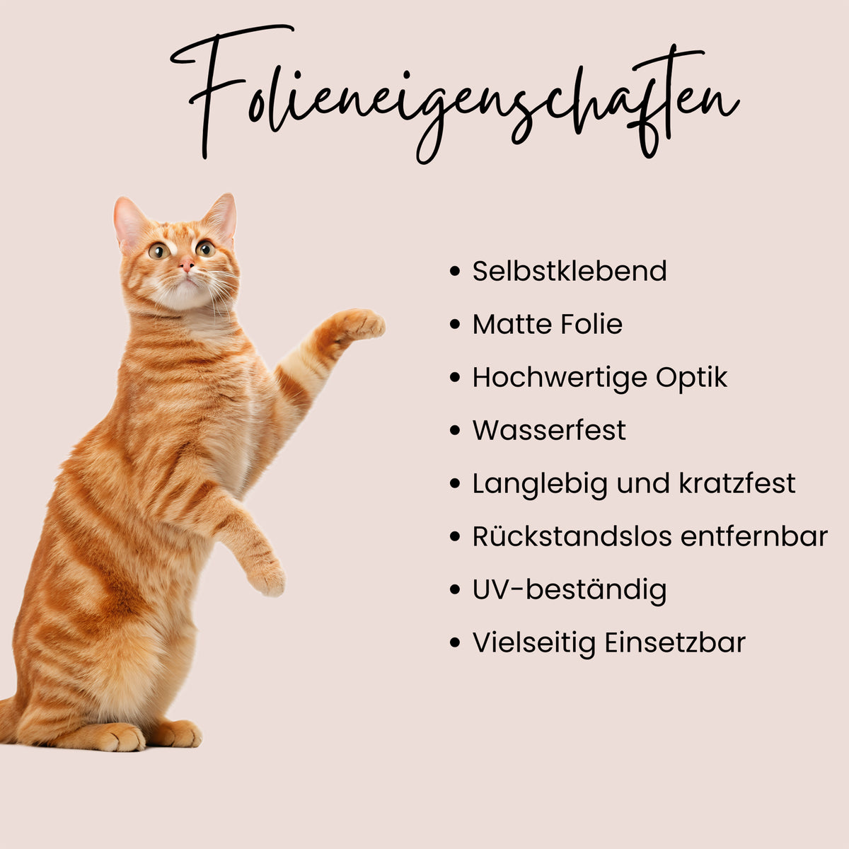 Wandtattoo Katze
