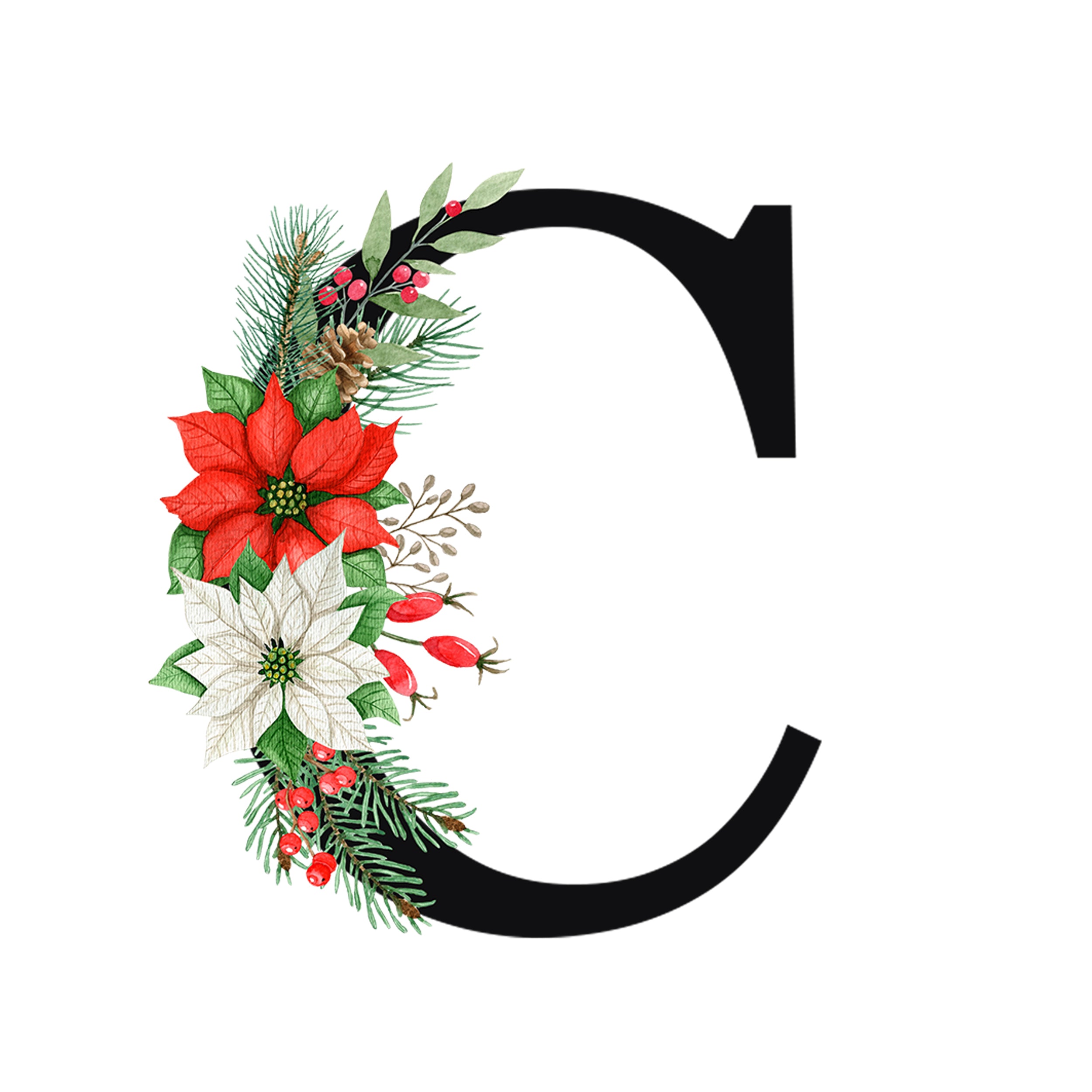 Schwarzer Buchstabe C mit roten und weißen Weihnachtsblumen.