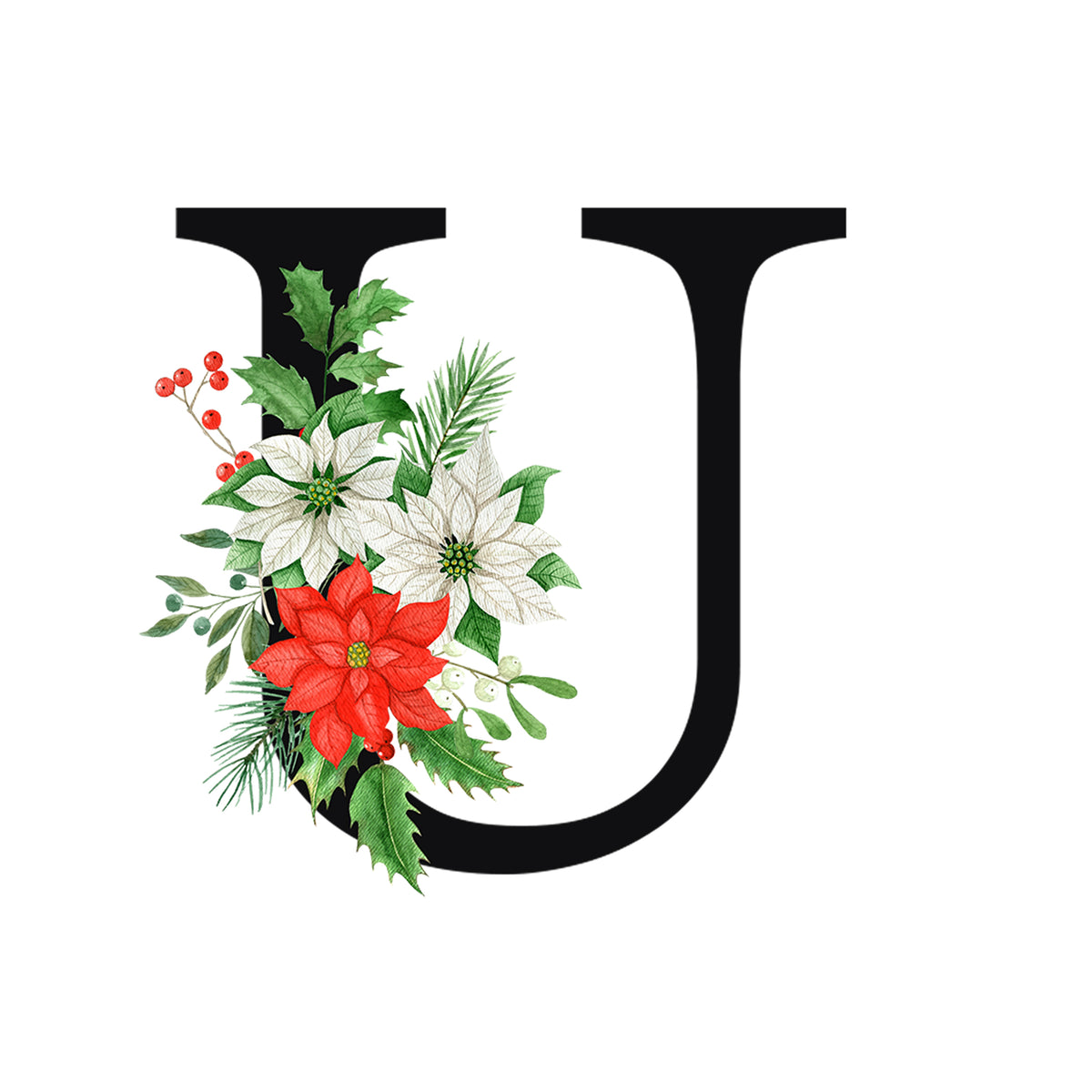 Schwarzer Buchstabe U mit roten und weißen Weihnachtsblumen.
