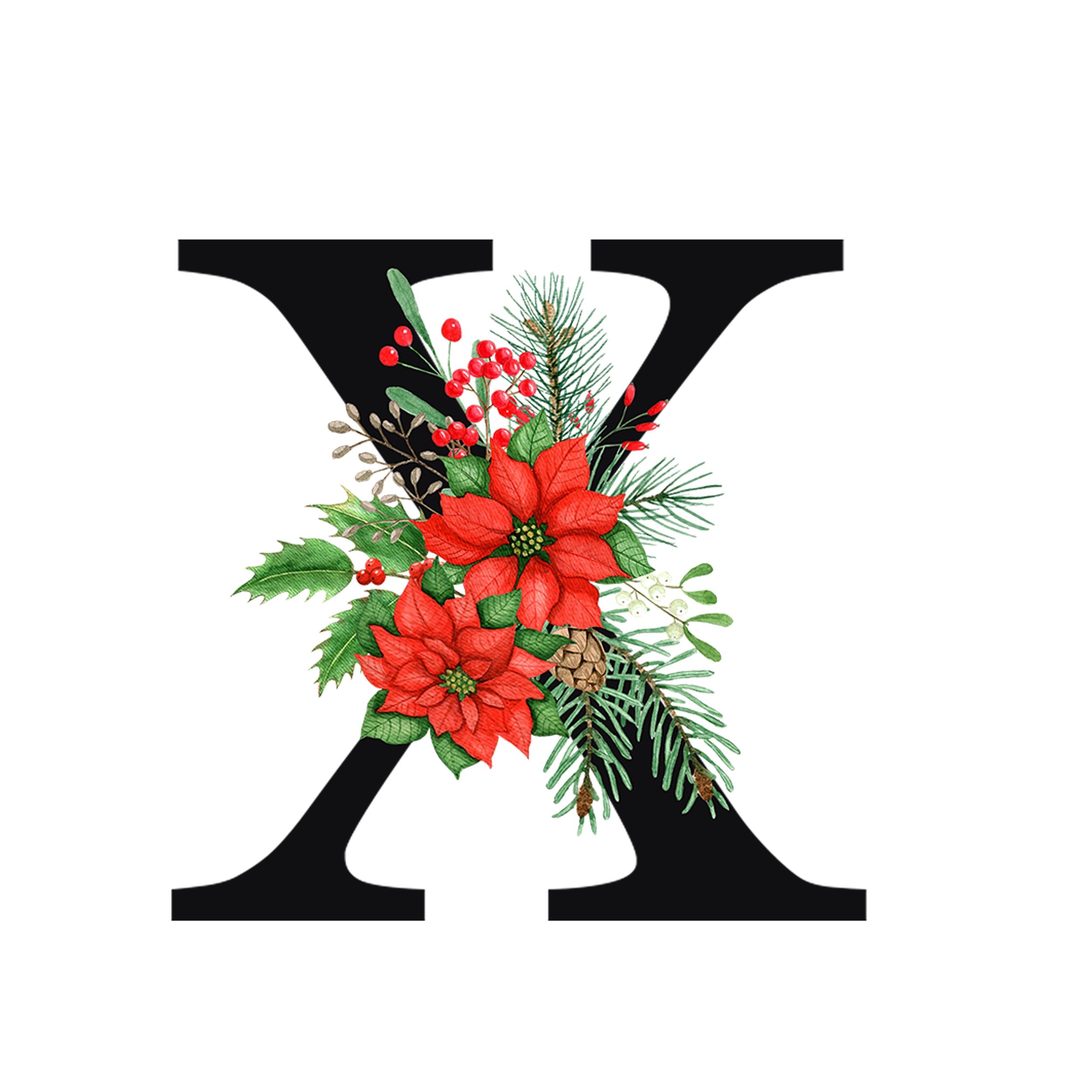 Rote Weihnachtssterne und Tannenzweige um schwarzen Buchstaben X.