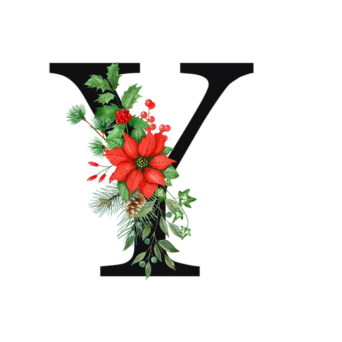 Schwarzes "Y" mit roter Weihnachtsstern-Blume und grünen Blättern.