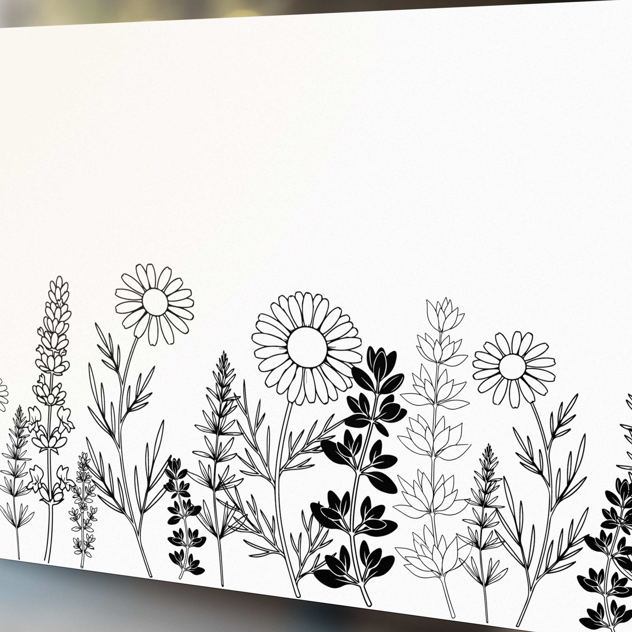 Schwarz-weiße Blumenillustration mit verschiedenen Pflanzenarten.