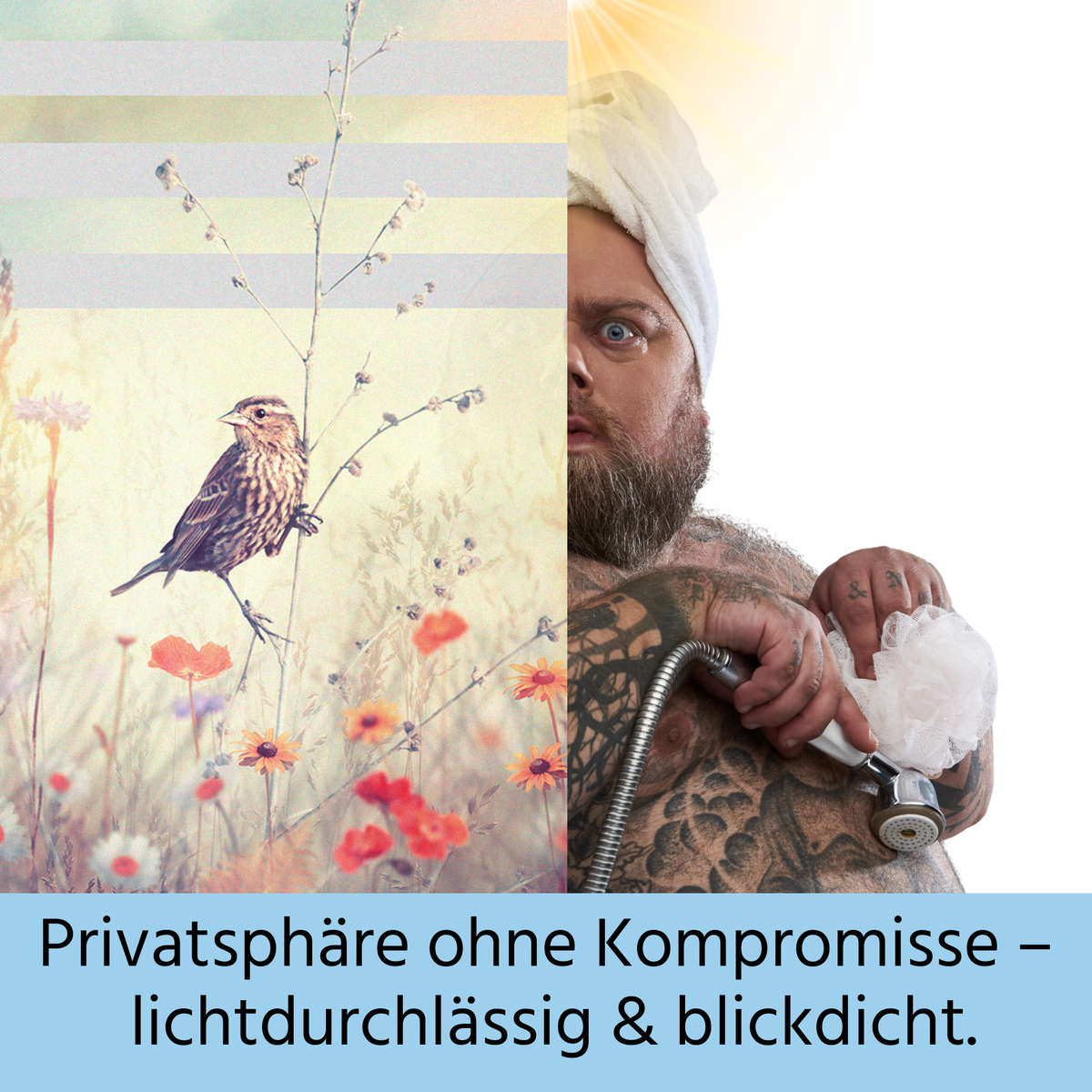 Privatsphäre, lichtdurchlässig und blickdicht, mit Vogelmotiv.