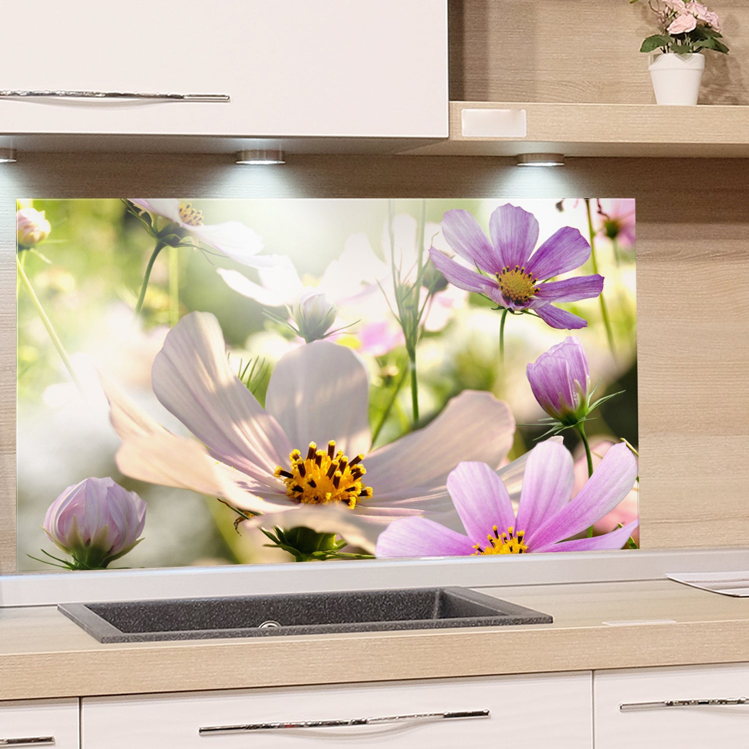 Küchenrückwand mit bunten, blühenden Cosmos-Blumen.