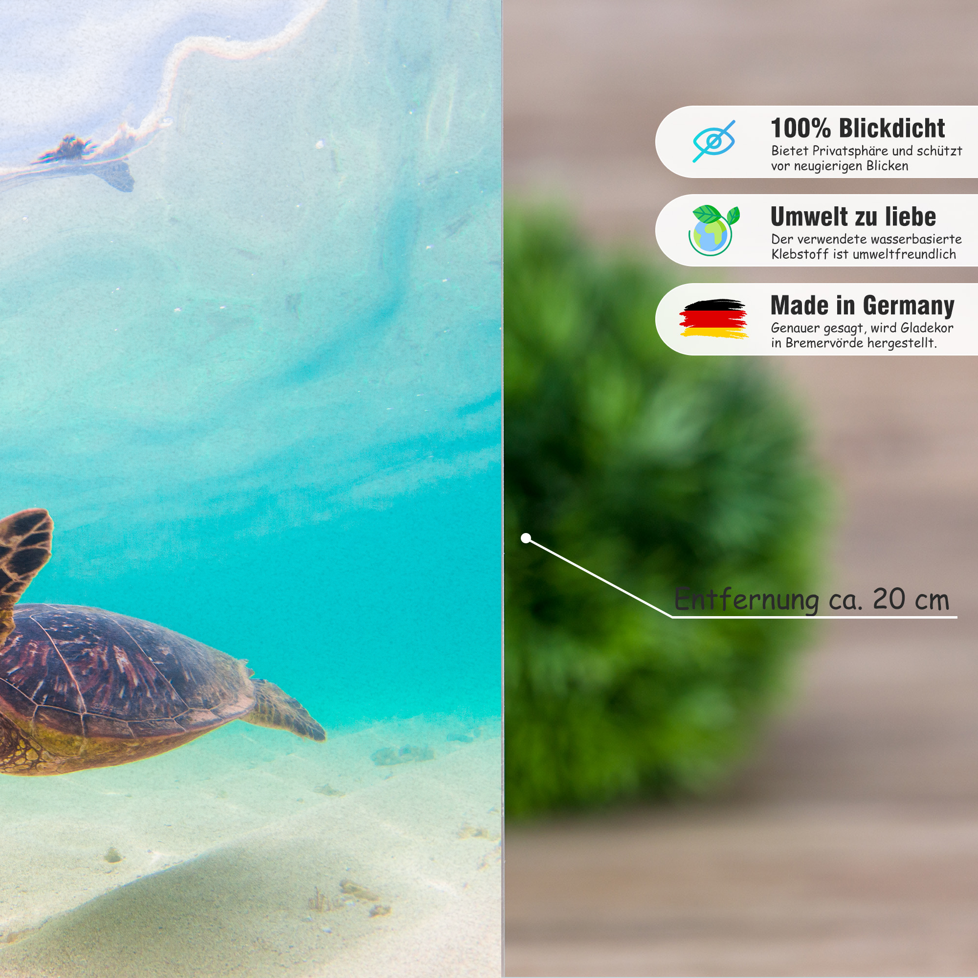 Schildkröte im Wasser, blauer Hintergrund, umweltfreundlich.