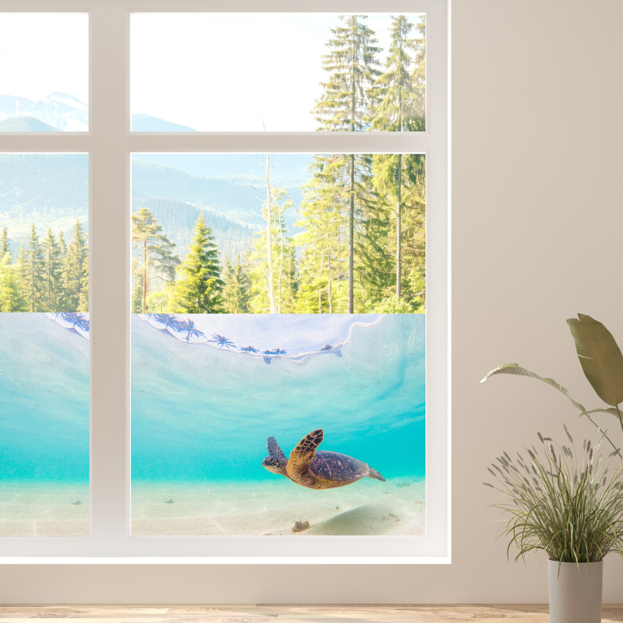 Schildkröte schwimmt im türkisfarbenen Wasser vor Fensterscheibe.