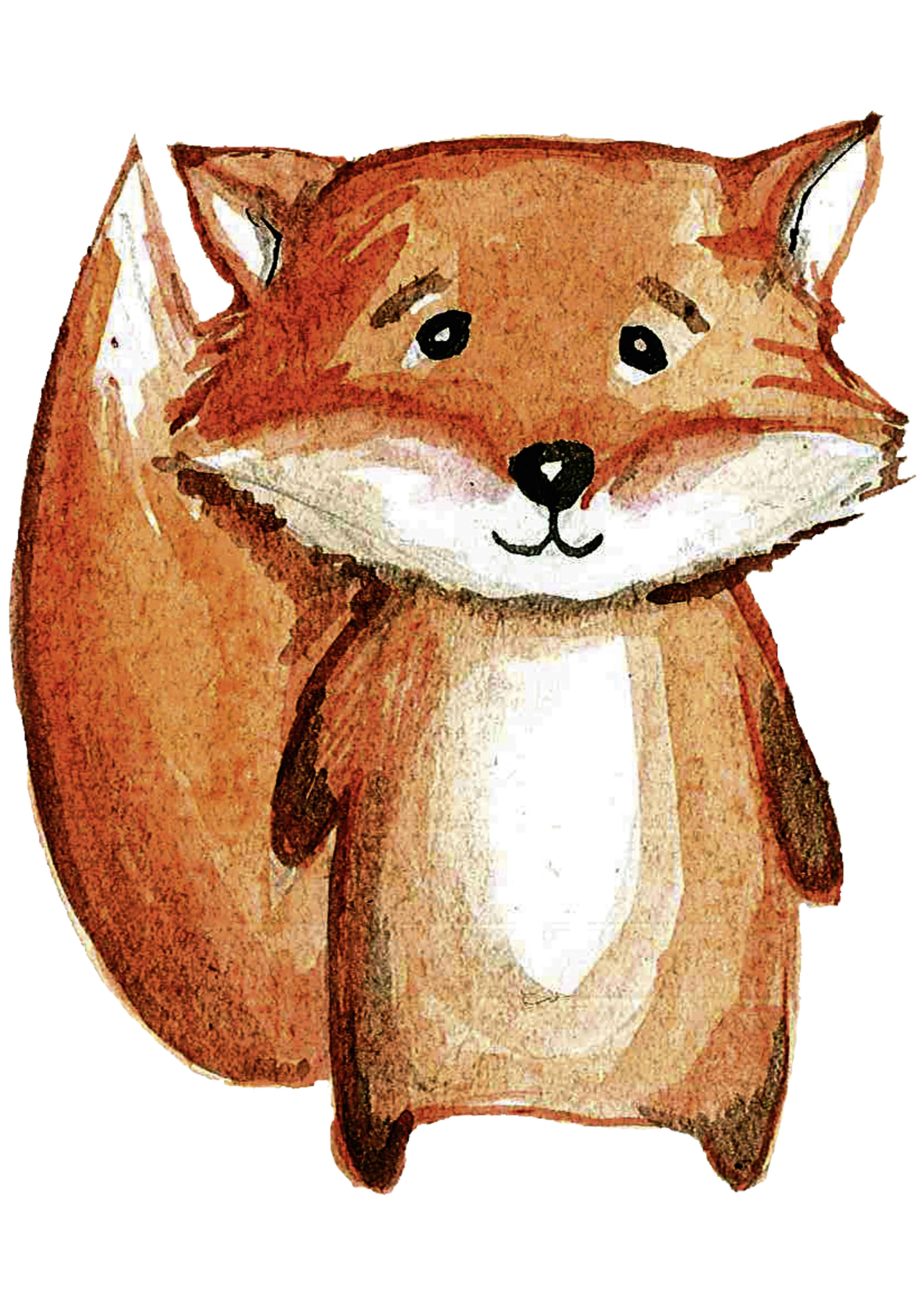 Brauner Fuchs mit weißem Bauch und freundlichem Gesicht.